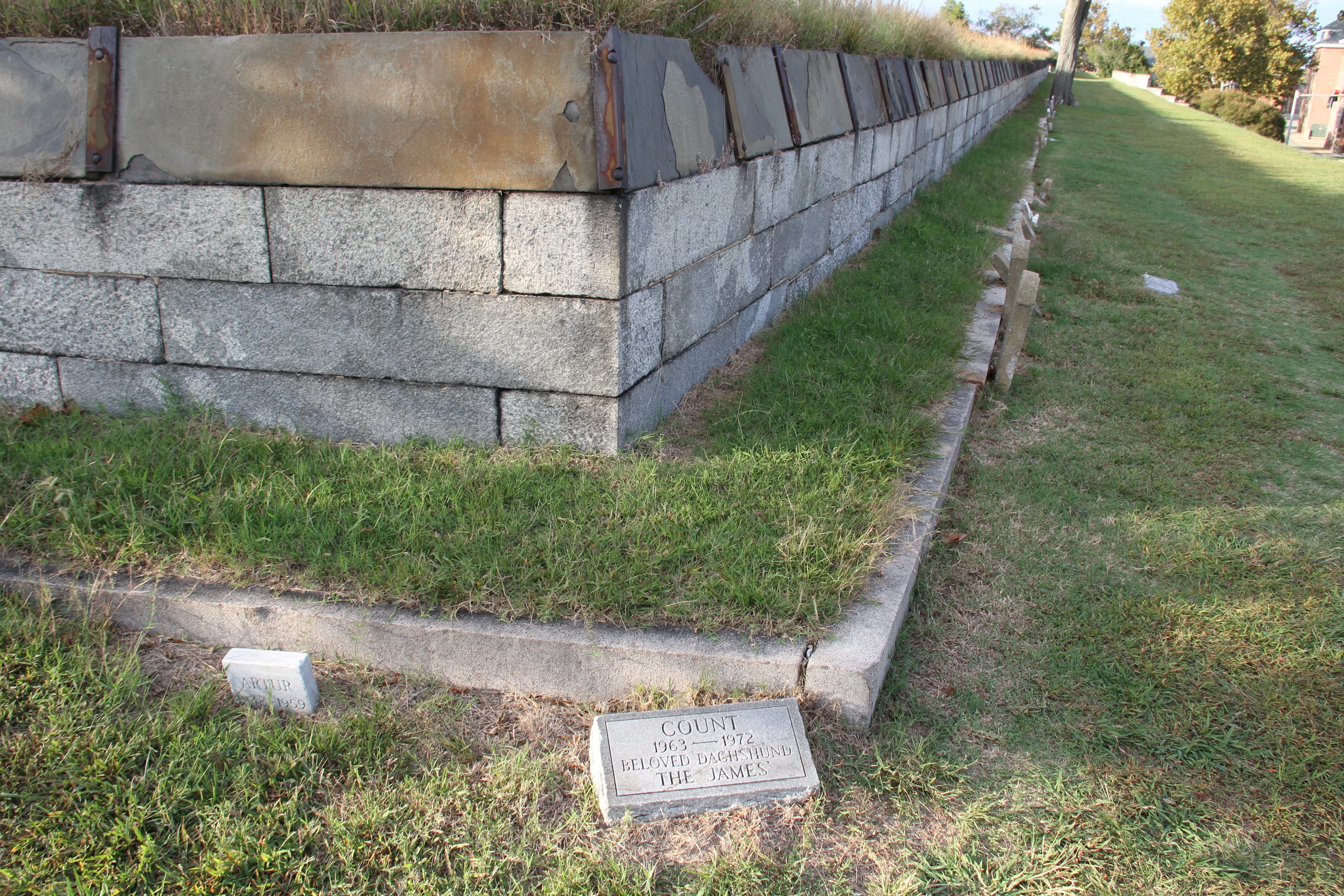 Pet Cemetery