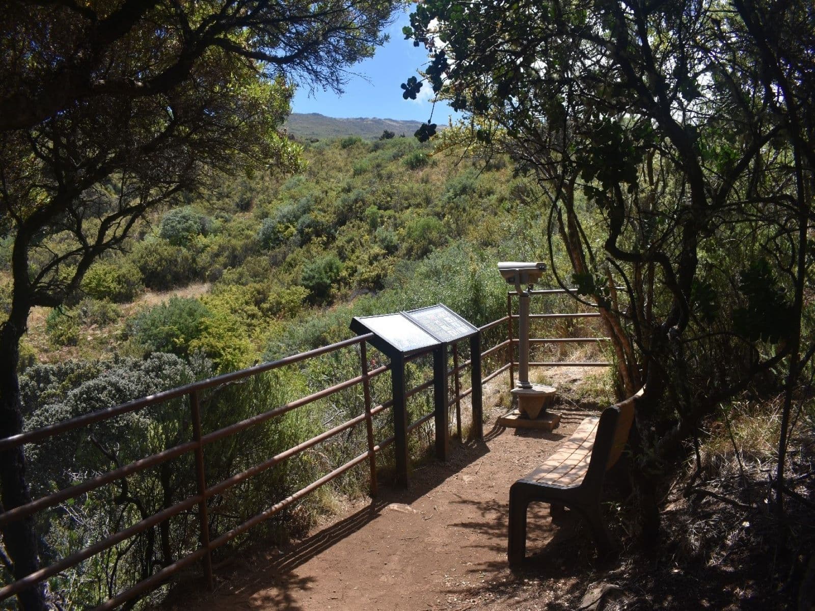 Bench and Viewfinder for Bird Watching