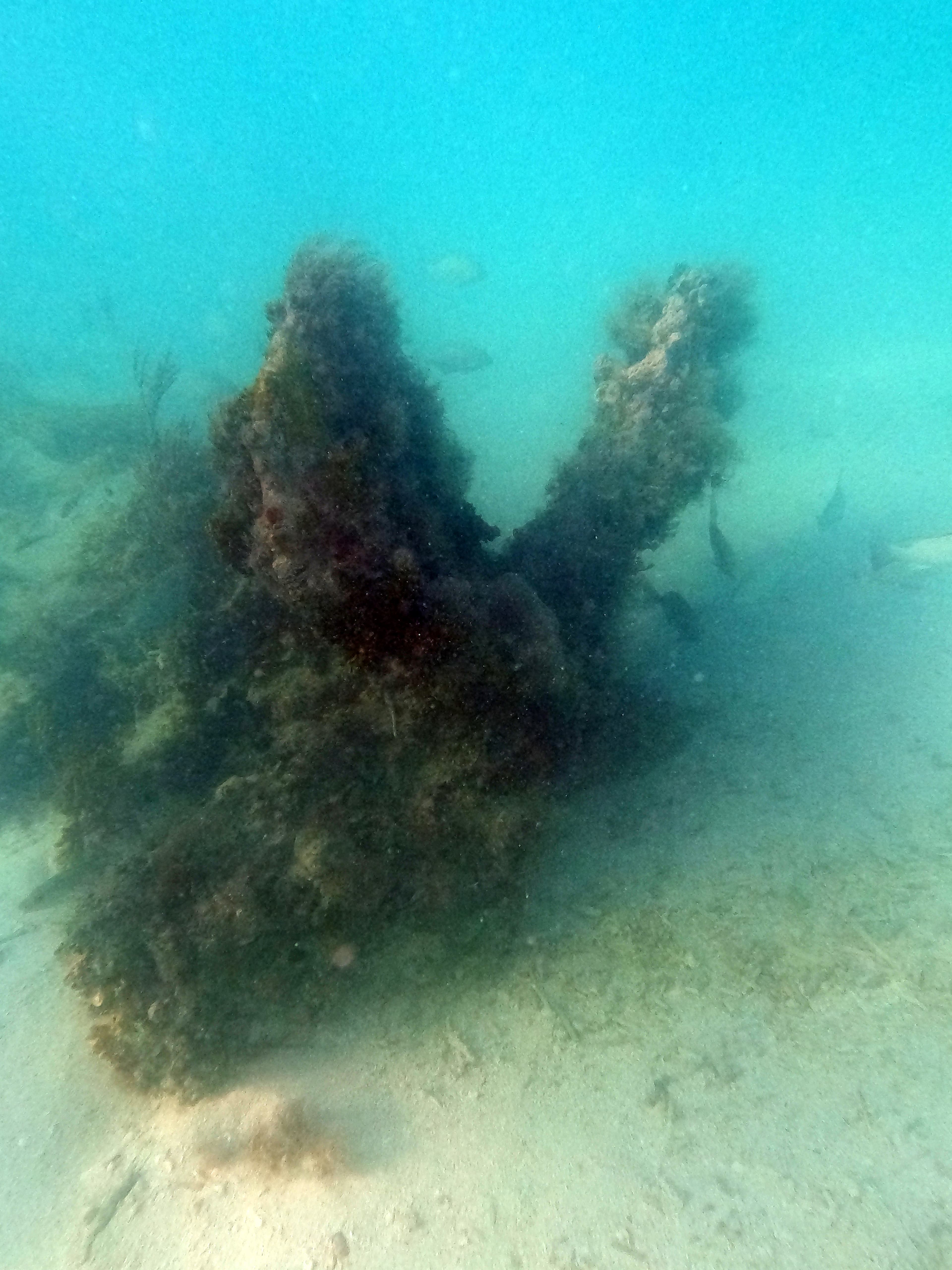 Bird Key Wreck