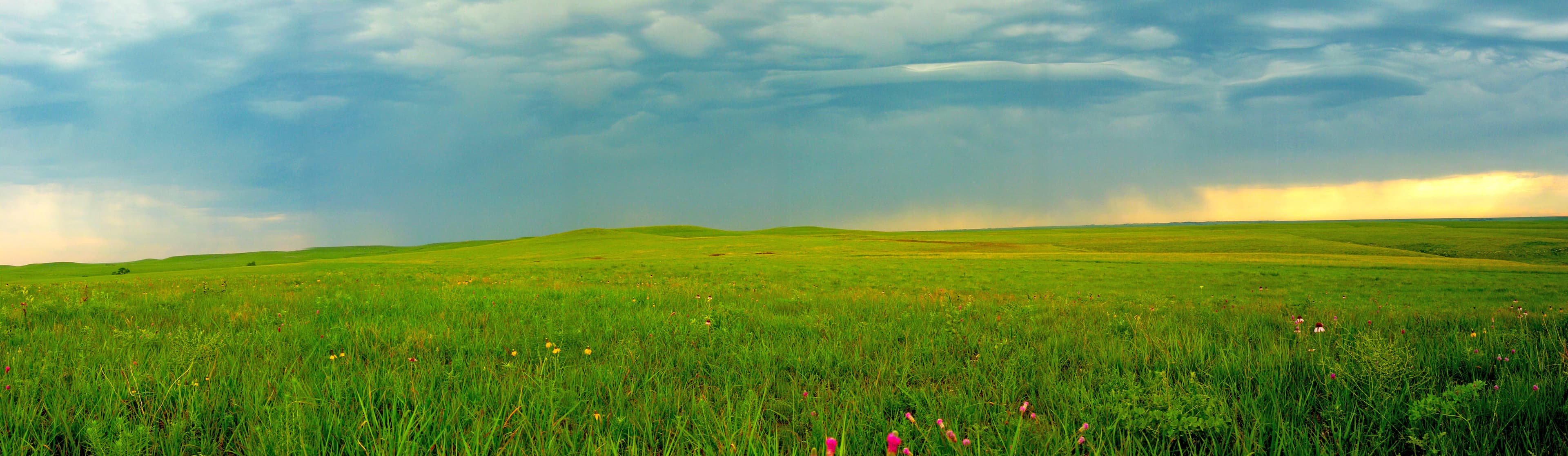 Tallgrass Prairie National Preserve