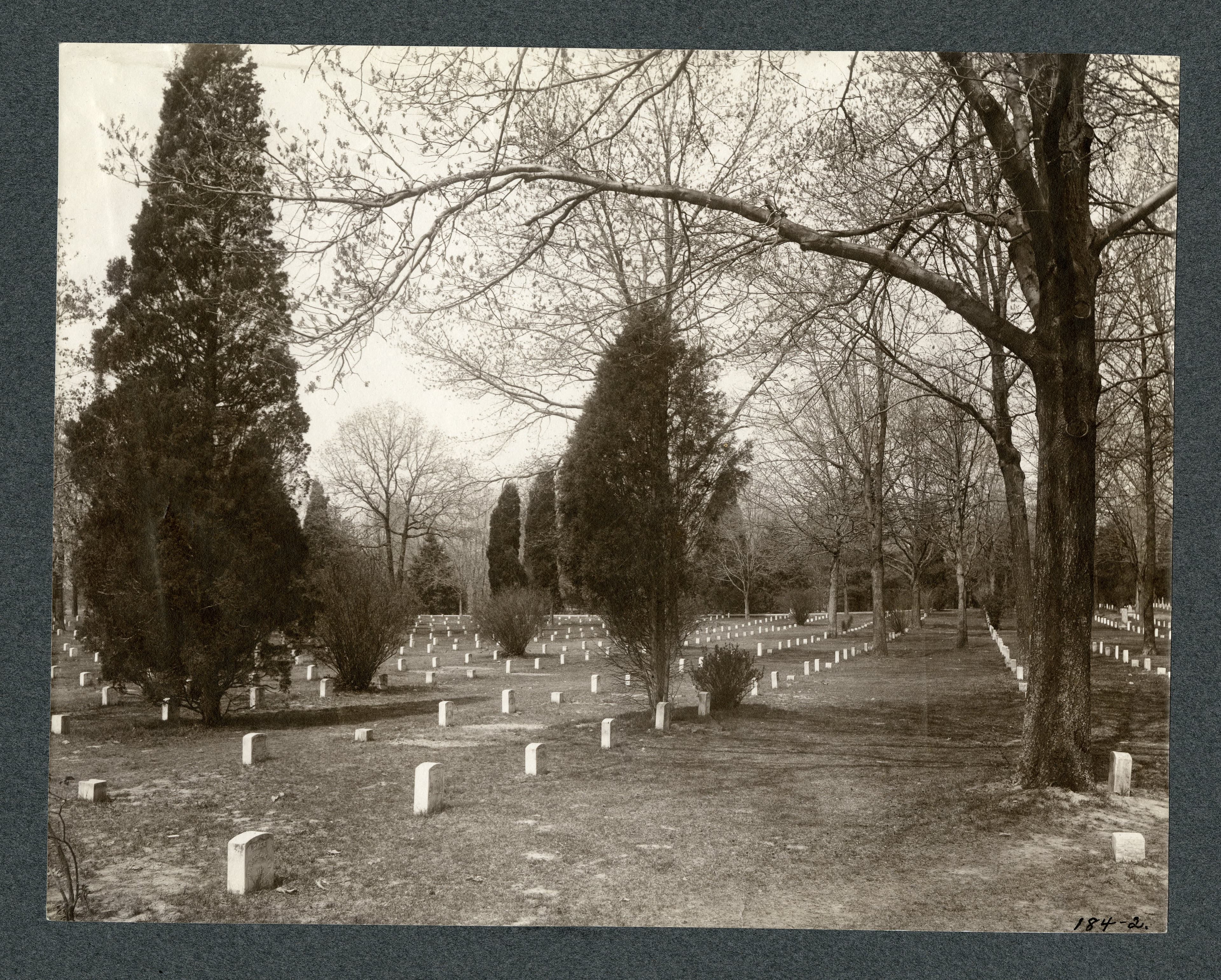 Arlington National Cemetery