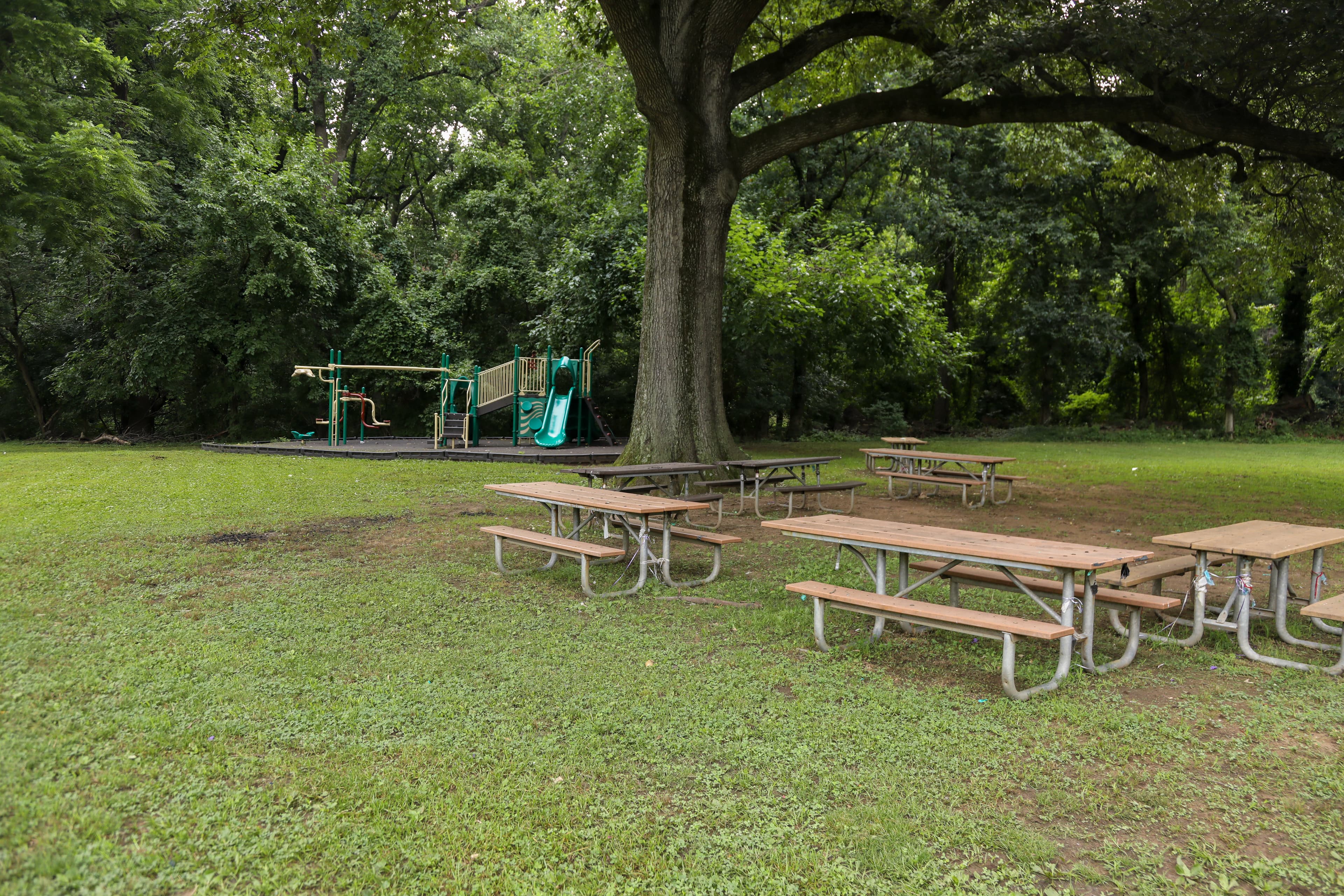Fort Dupont Randle Circle picnic area