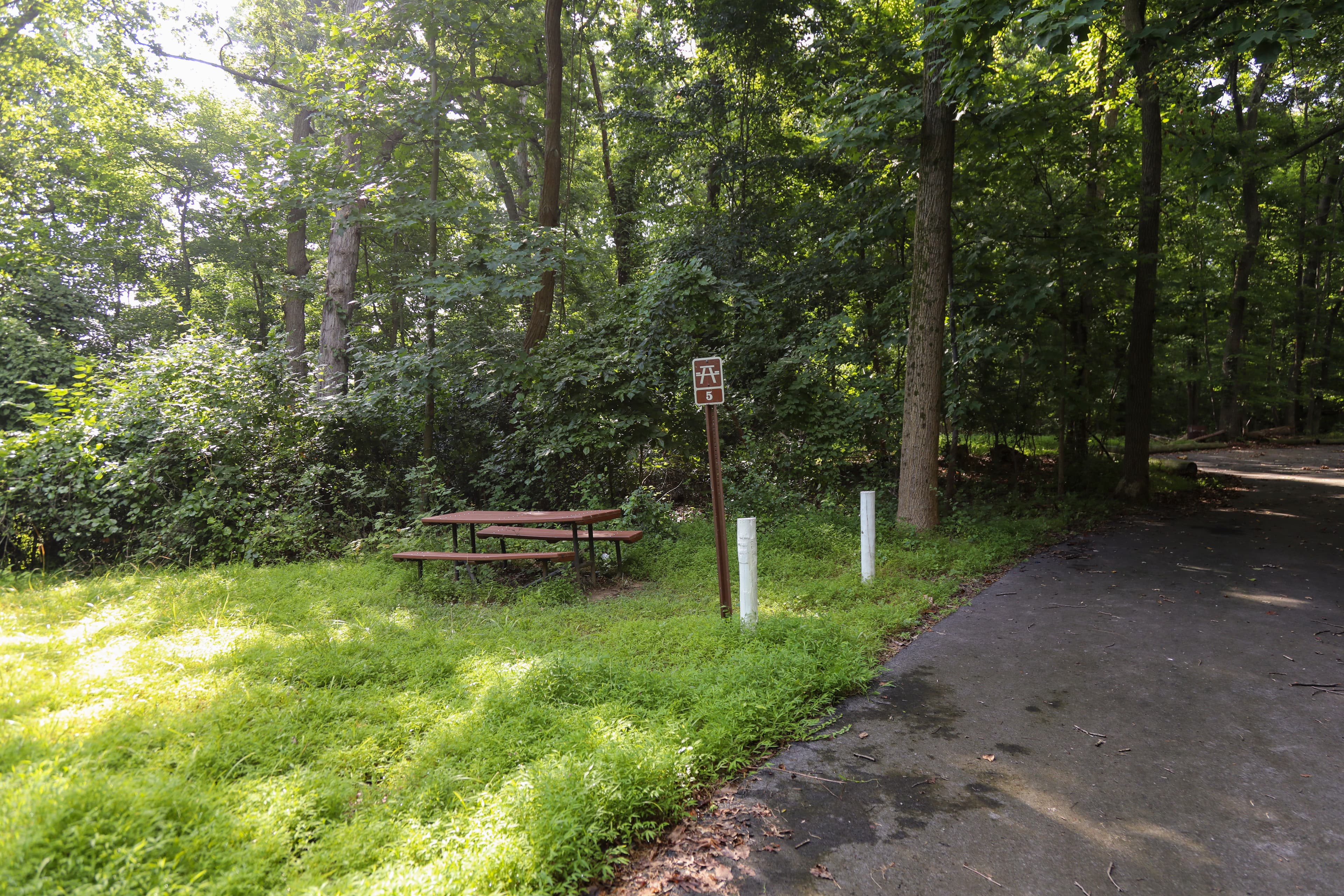 Fort Dupont Ridge picnic area
