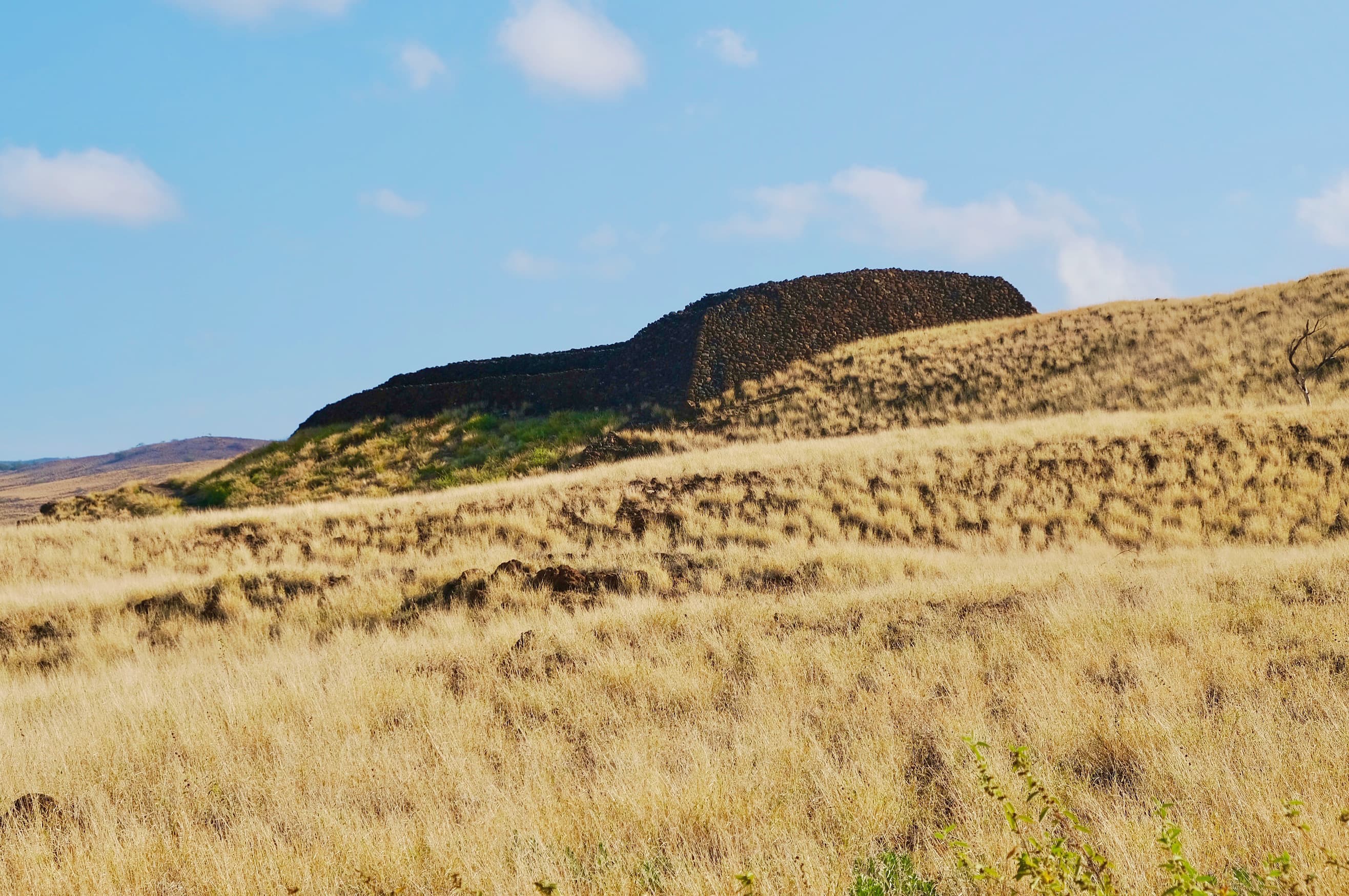 Puʻukoholā Heiau