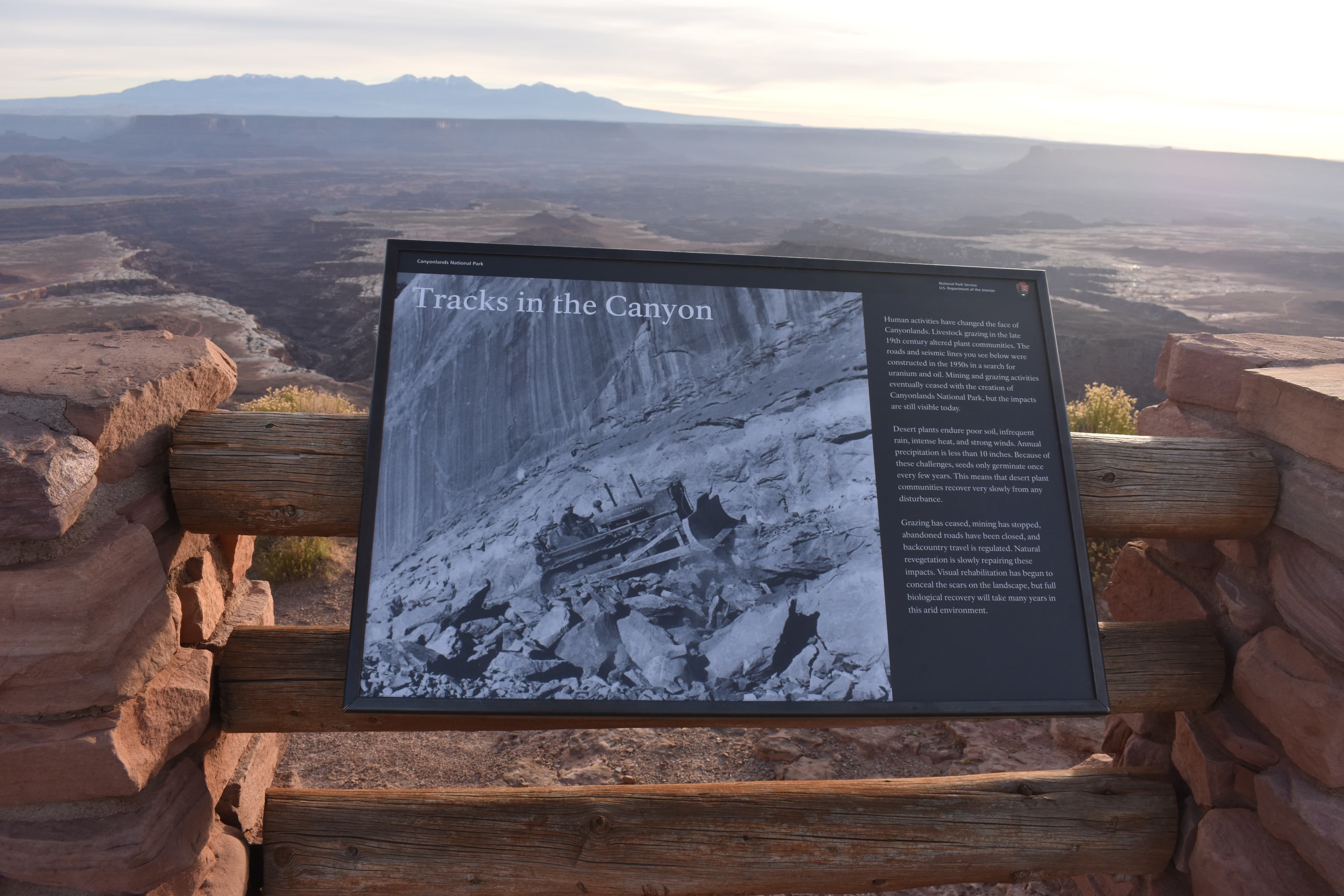 Buck Canyon: Tracks in the Canyon