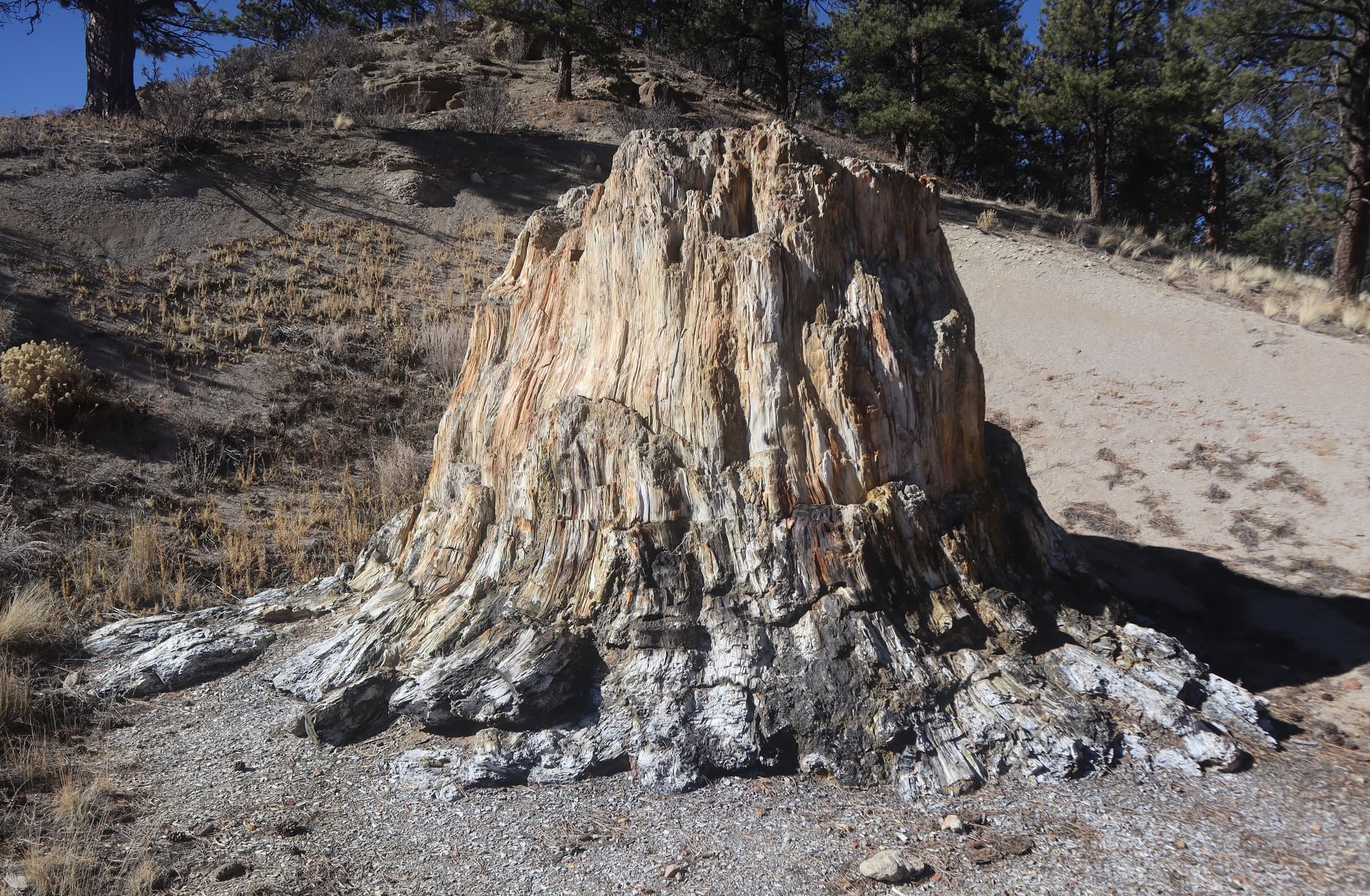 Big Stump