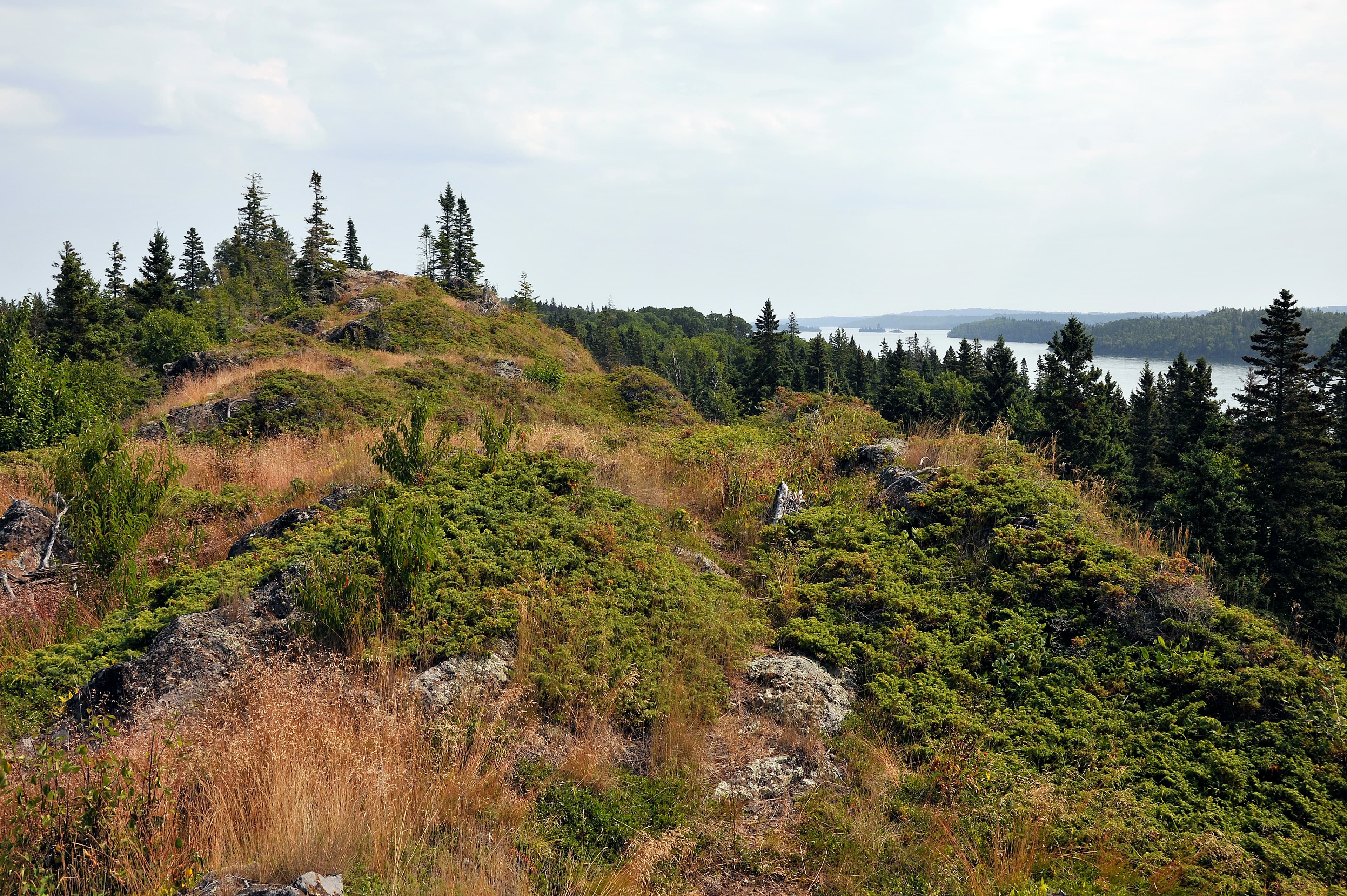 Amygdaloid Island