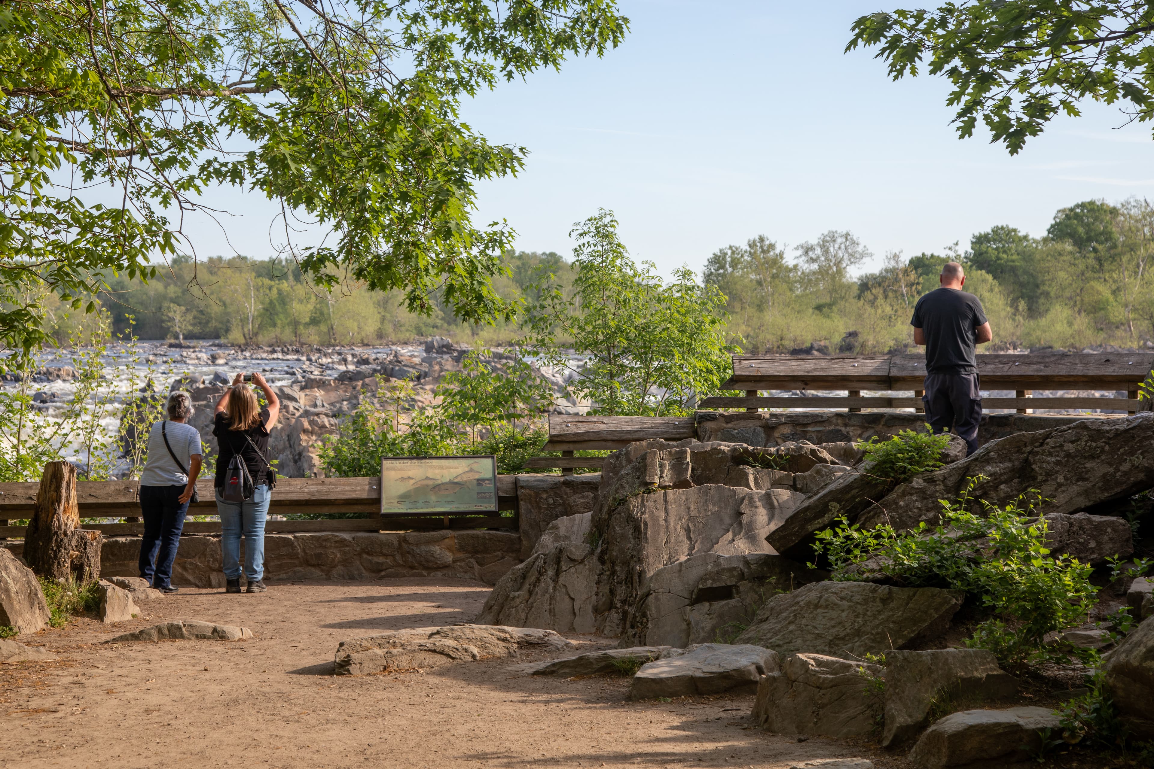 Great Falls Overlook 1
