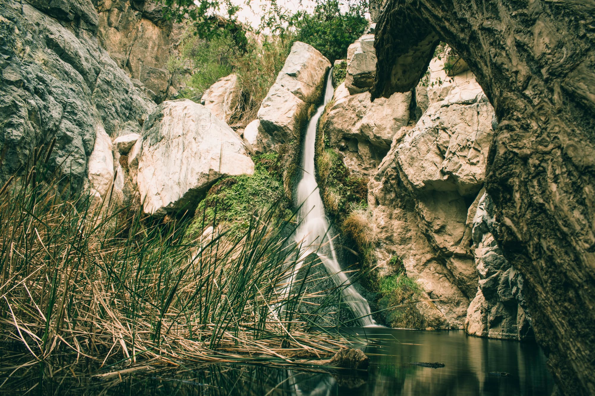 Darwin Falls