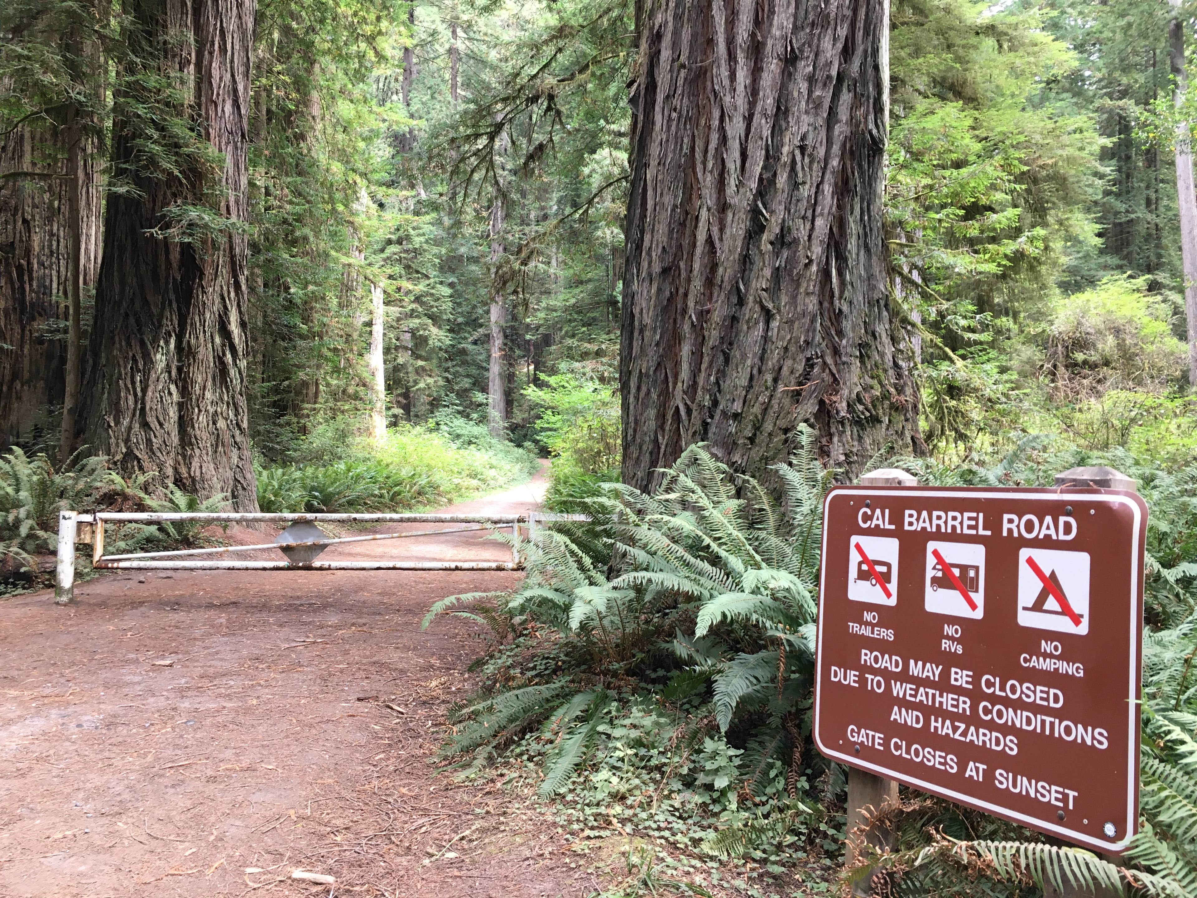 Cal Barrel Road