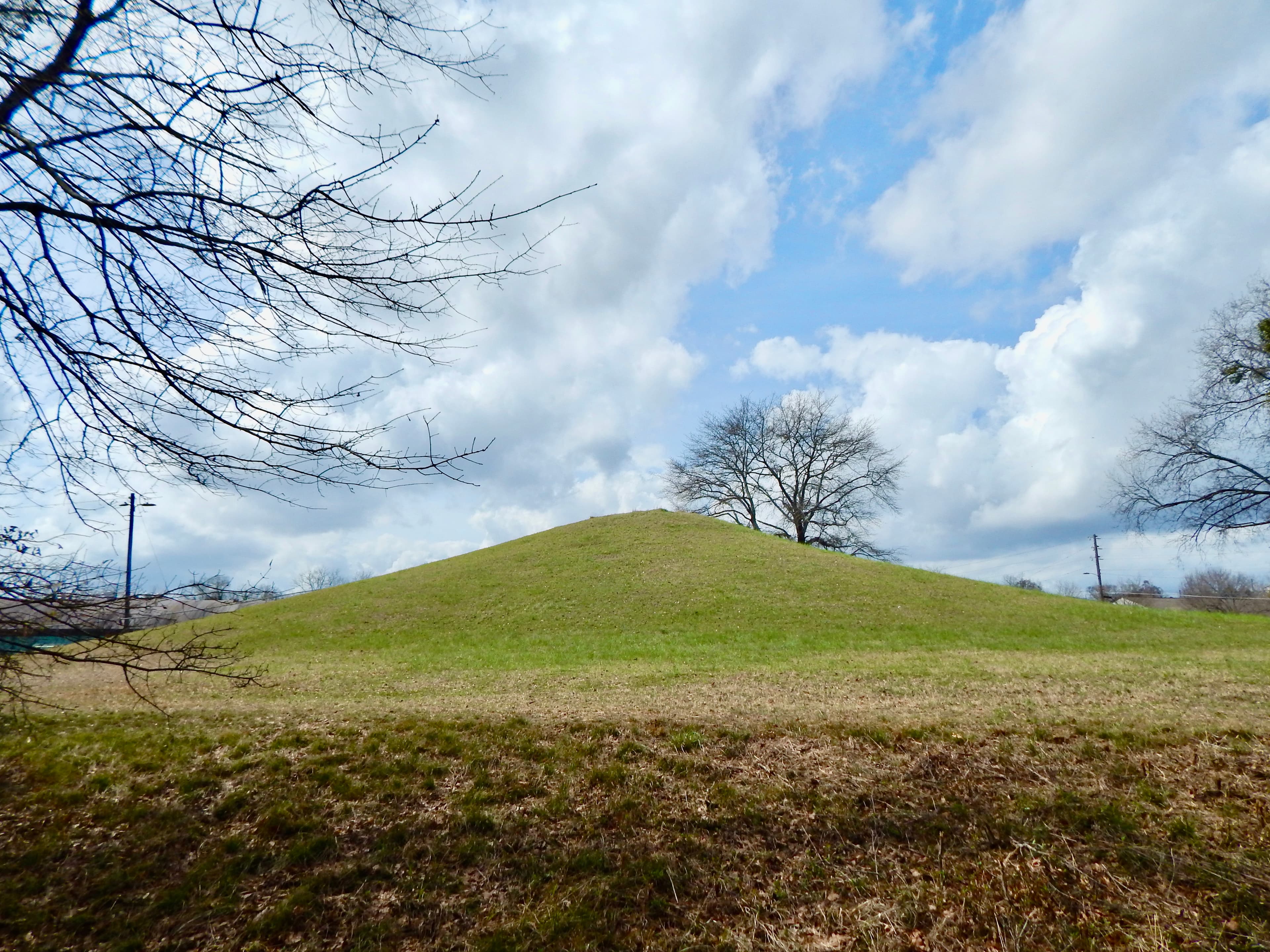 McDougal Mound