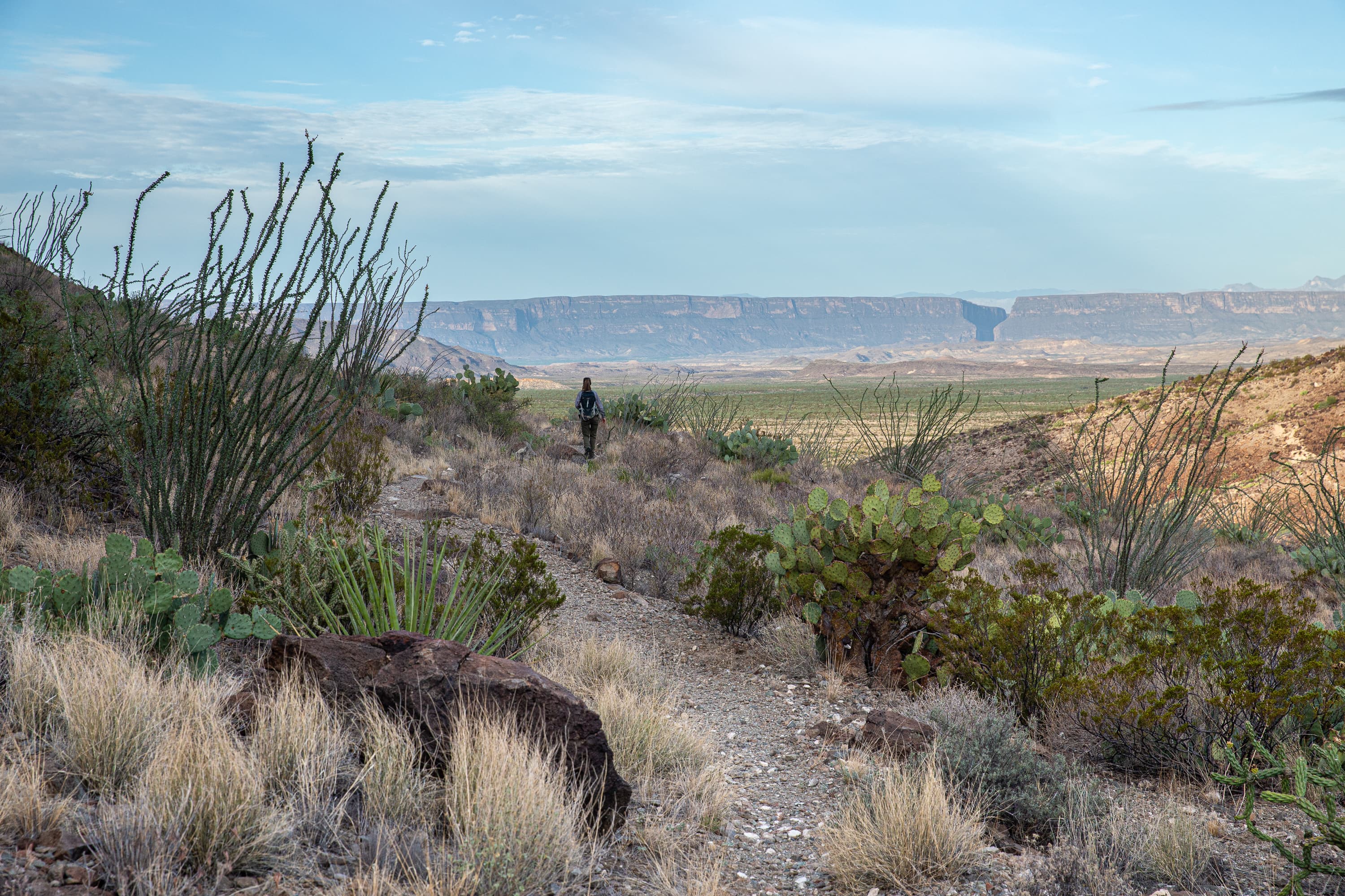 Burro Spring Trail