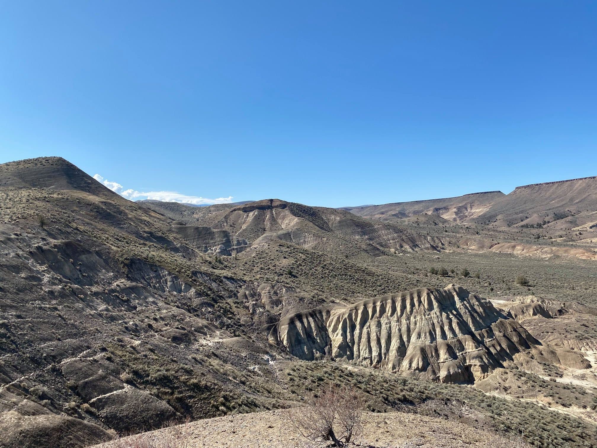 Mascall Formation Overlook