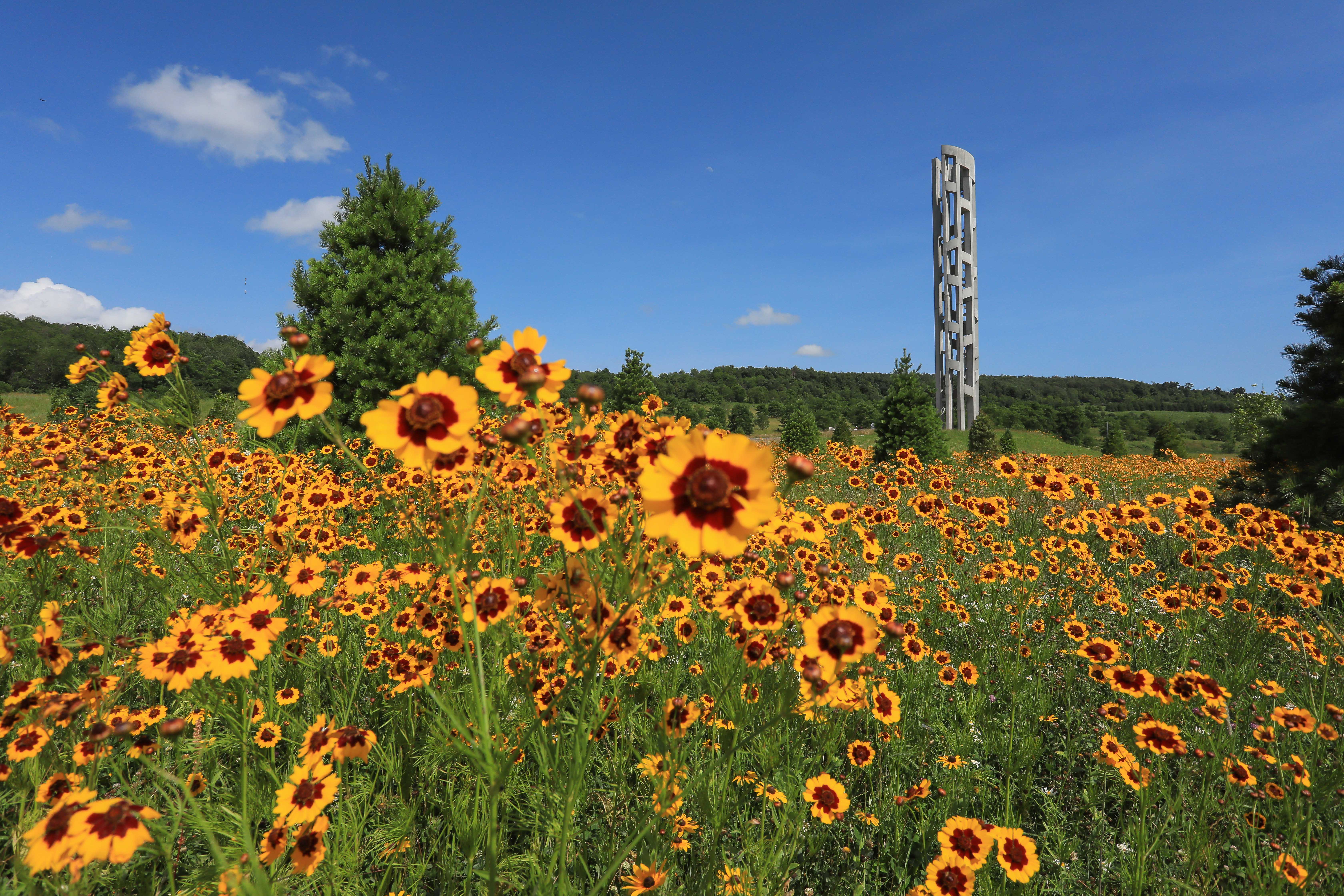 Tower of Voices