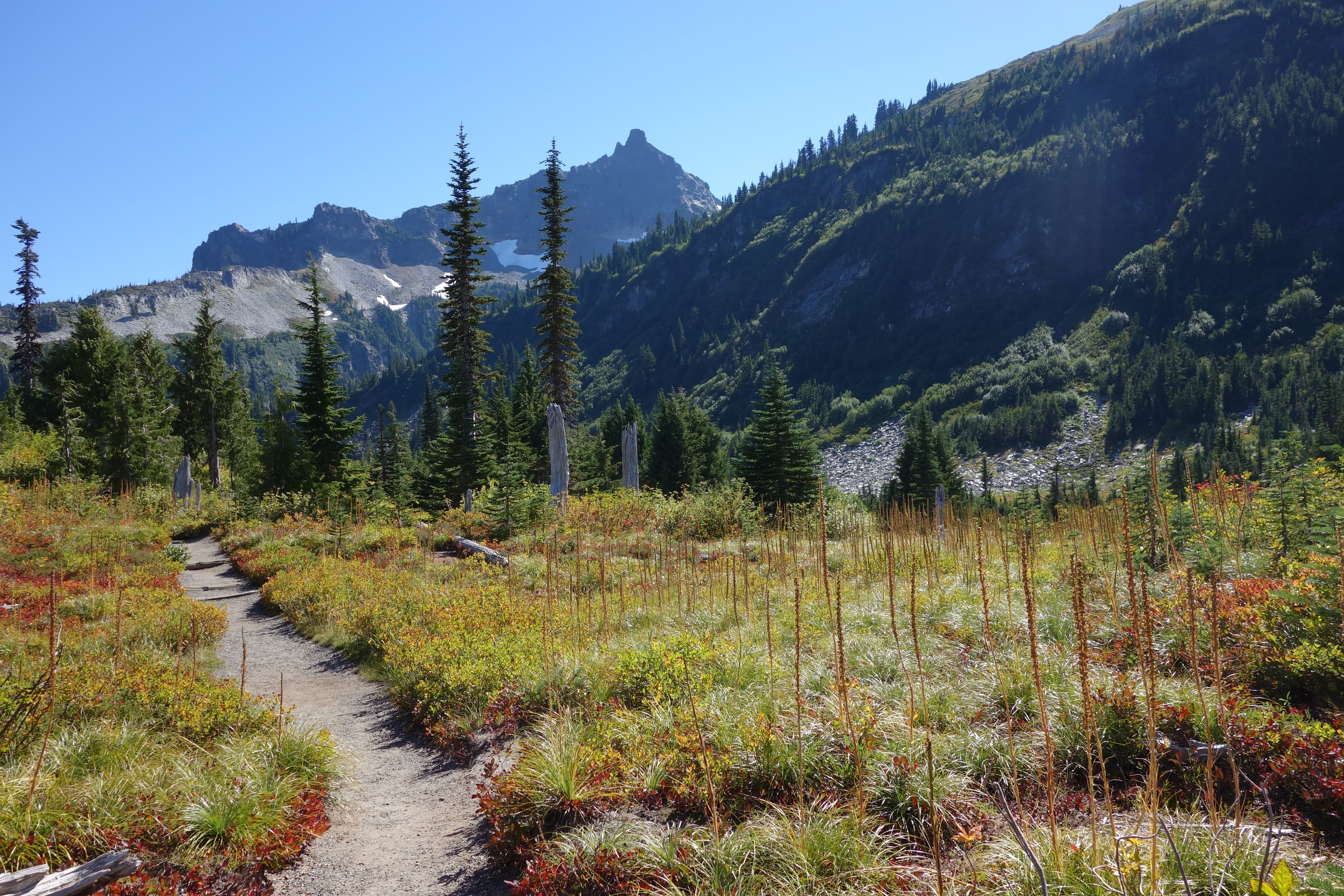 Bench and Snow Lake Trailhead