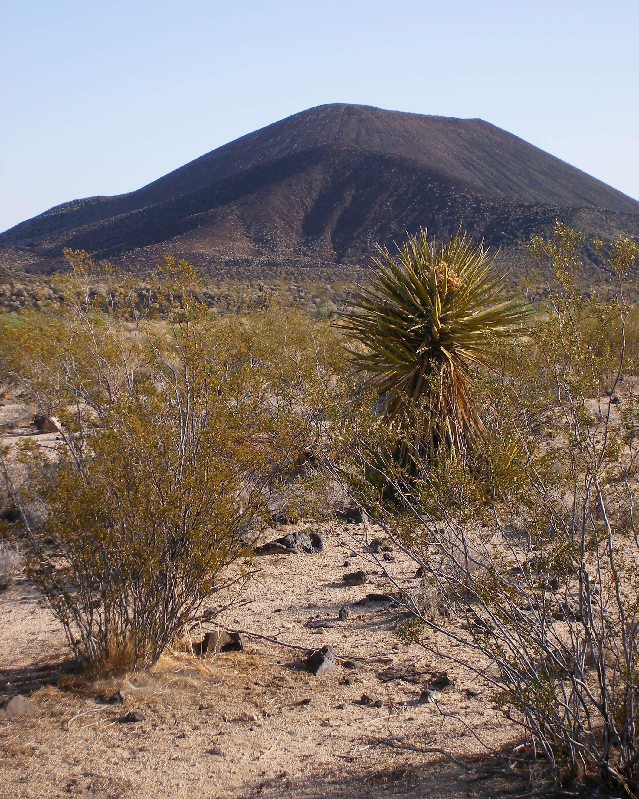California| Mojave National Preserve Lanfair Settlement Archive