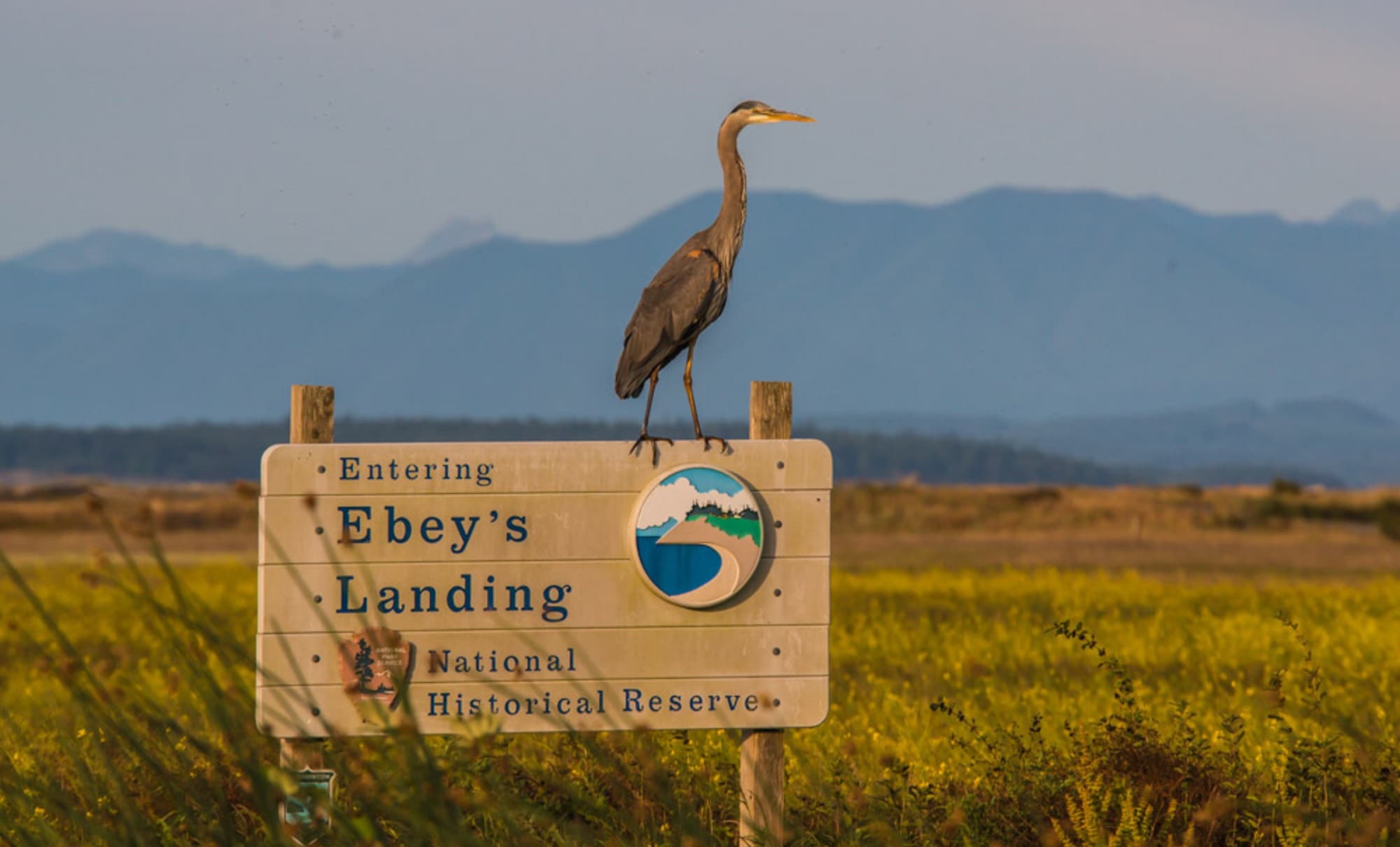 Ebey's Reserve - Crockett Lake