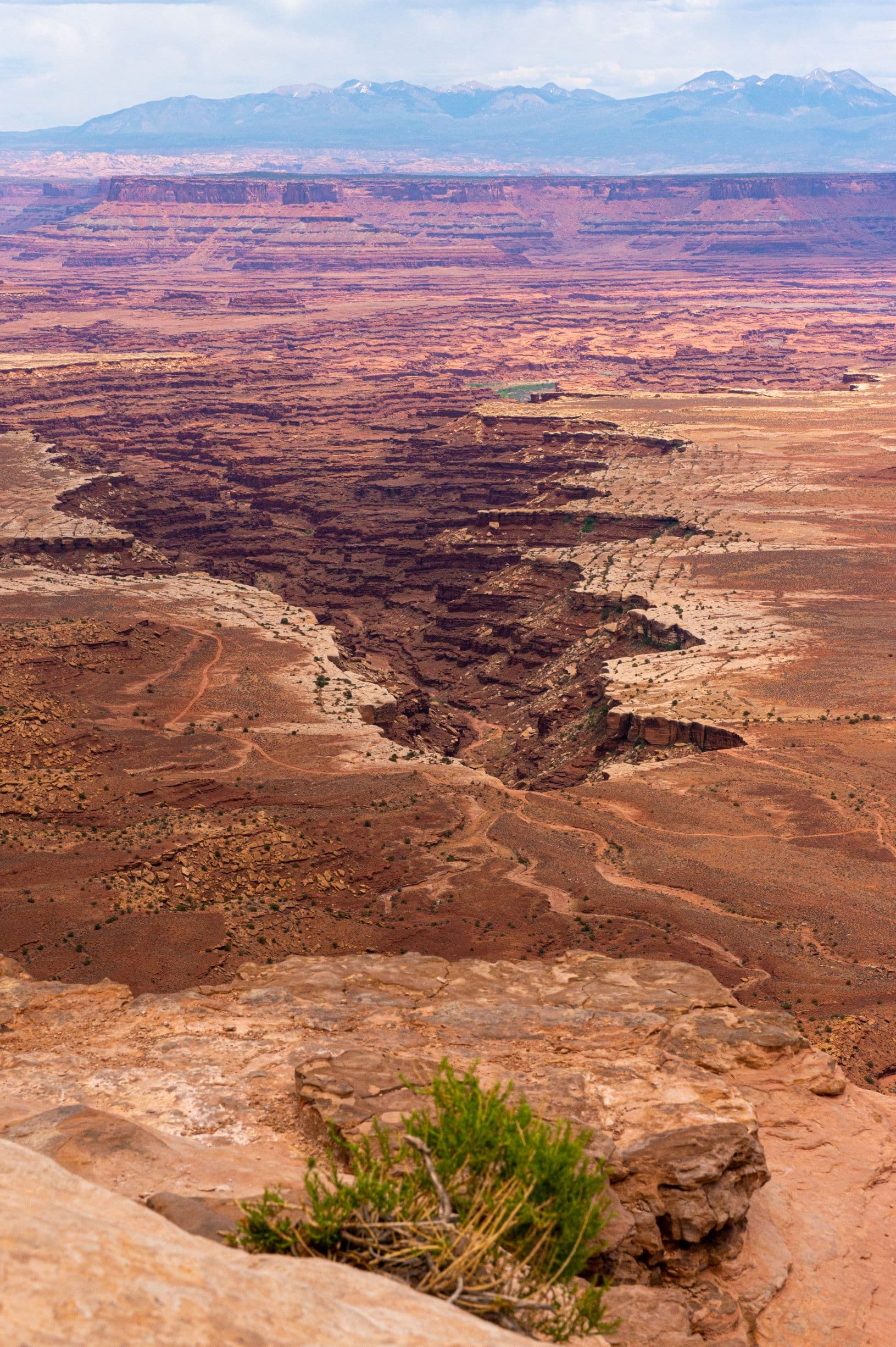 Buck Canyon Overlook