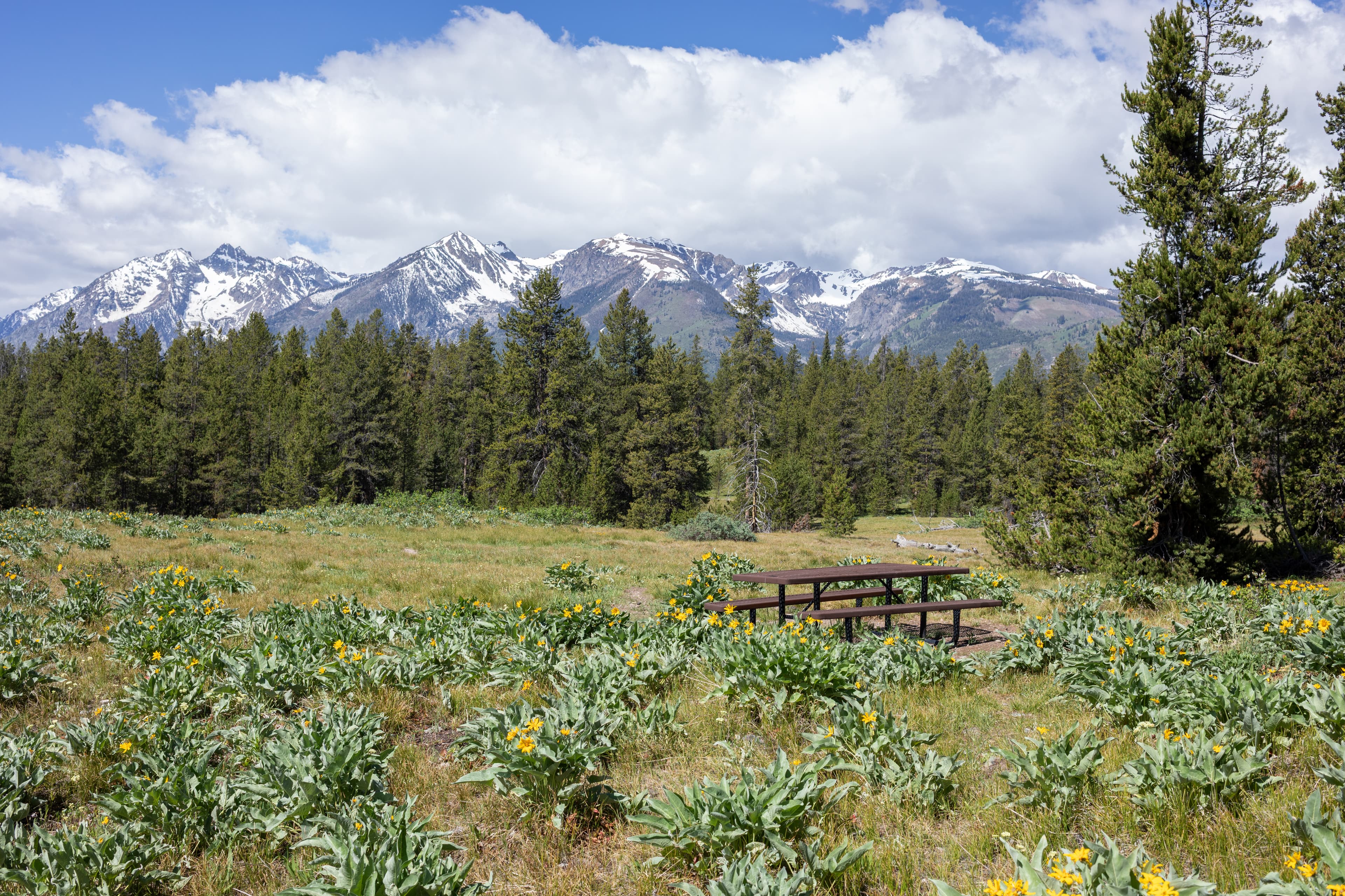 Arizona Island Picnic Area