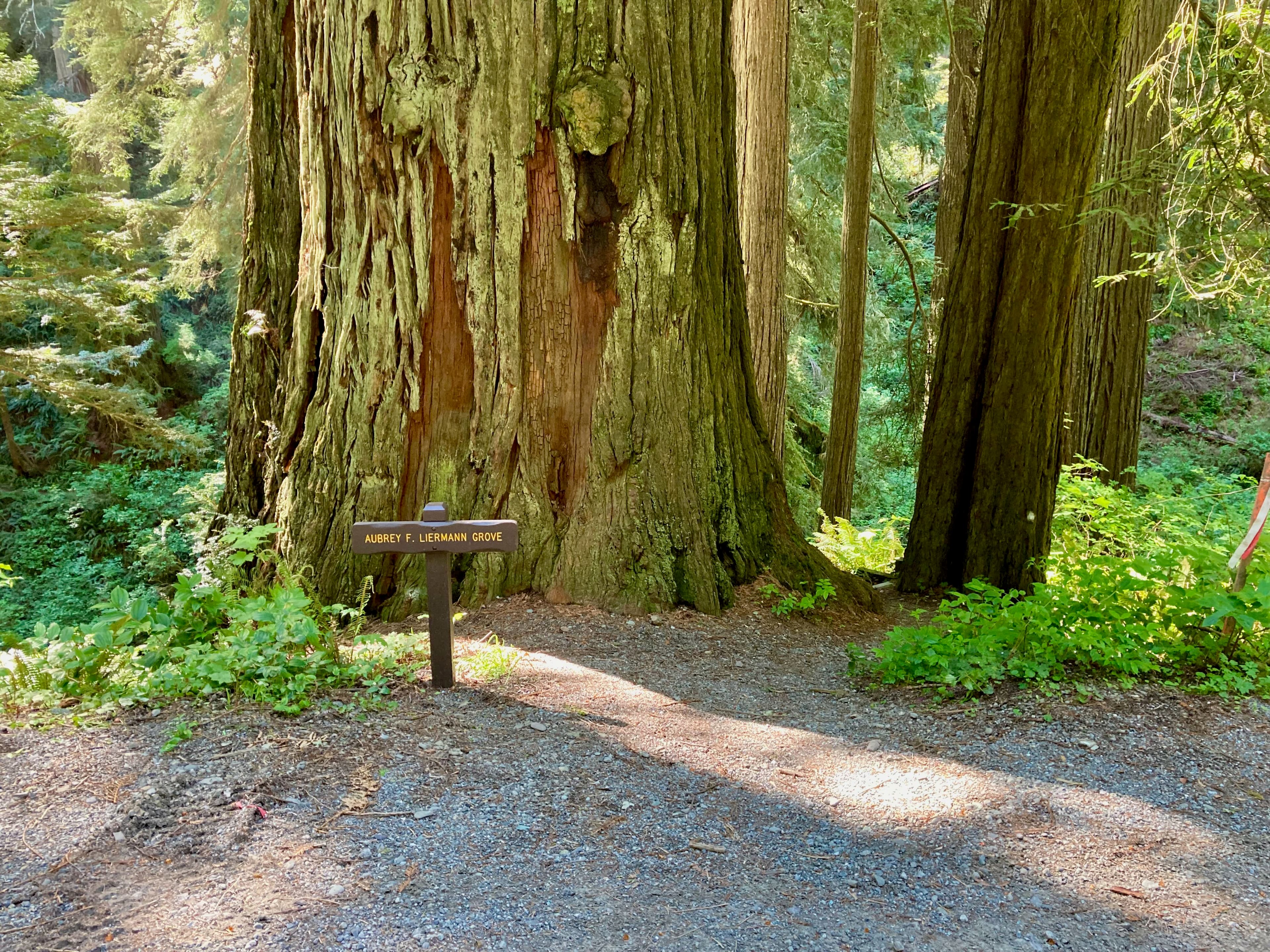Coastal Trail: DeMartin