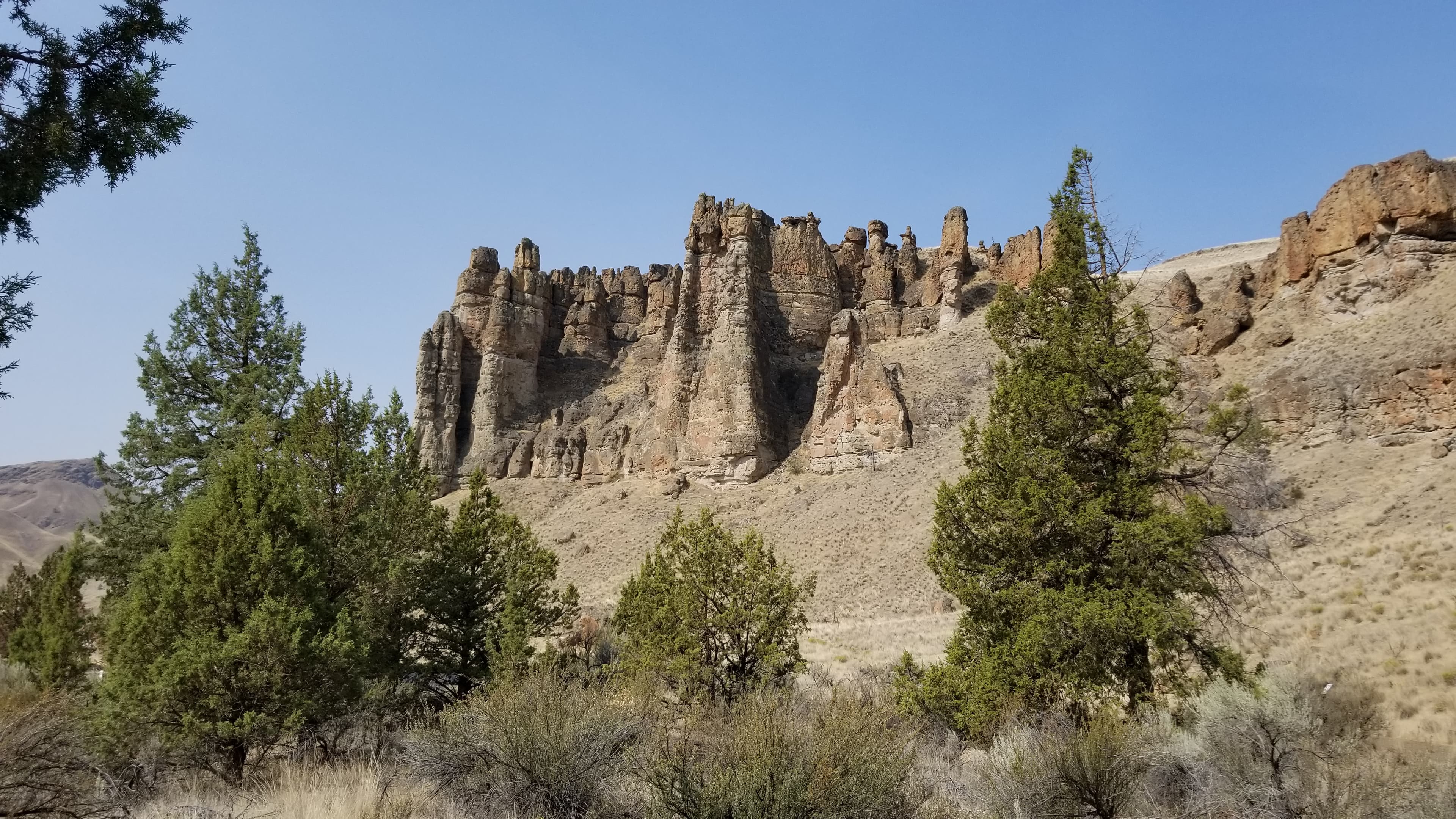 Clarno Palisades