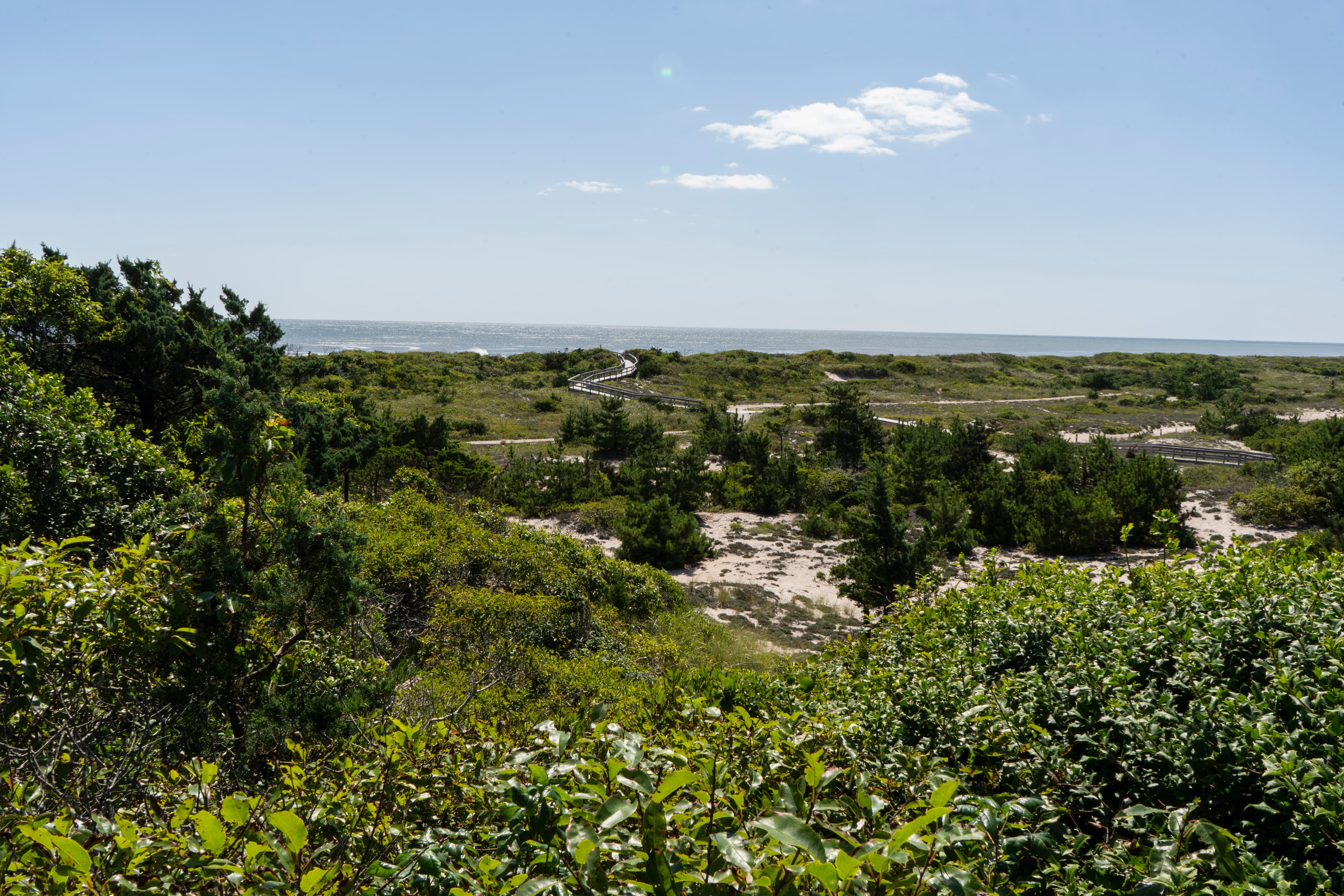 Fire Island: A Story of Change