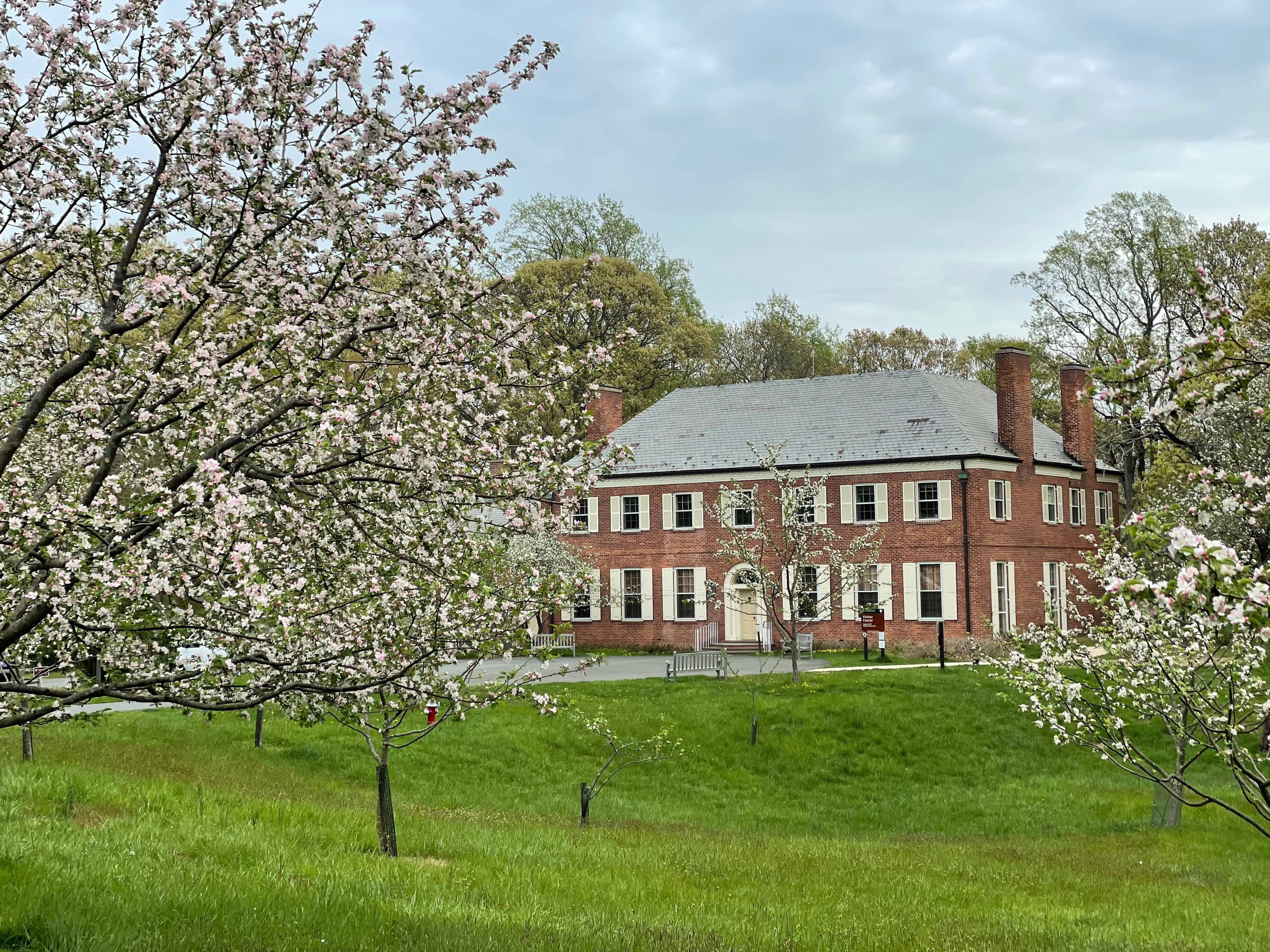 Old Orchard