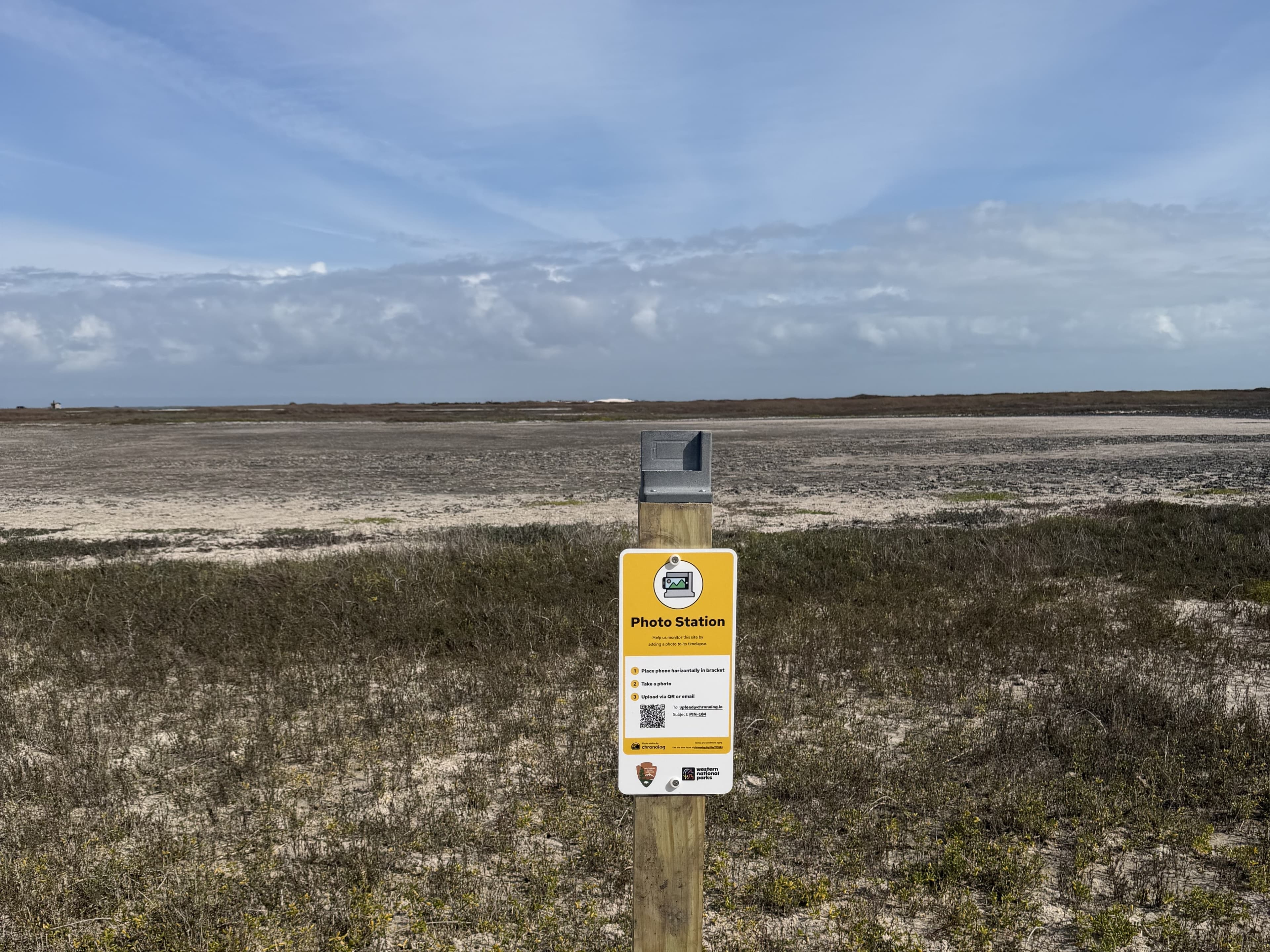 PIN104: Tidal Mudflats at Bird Island Basin