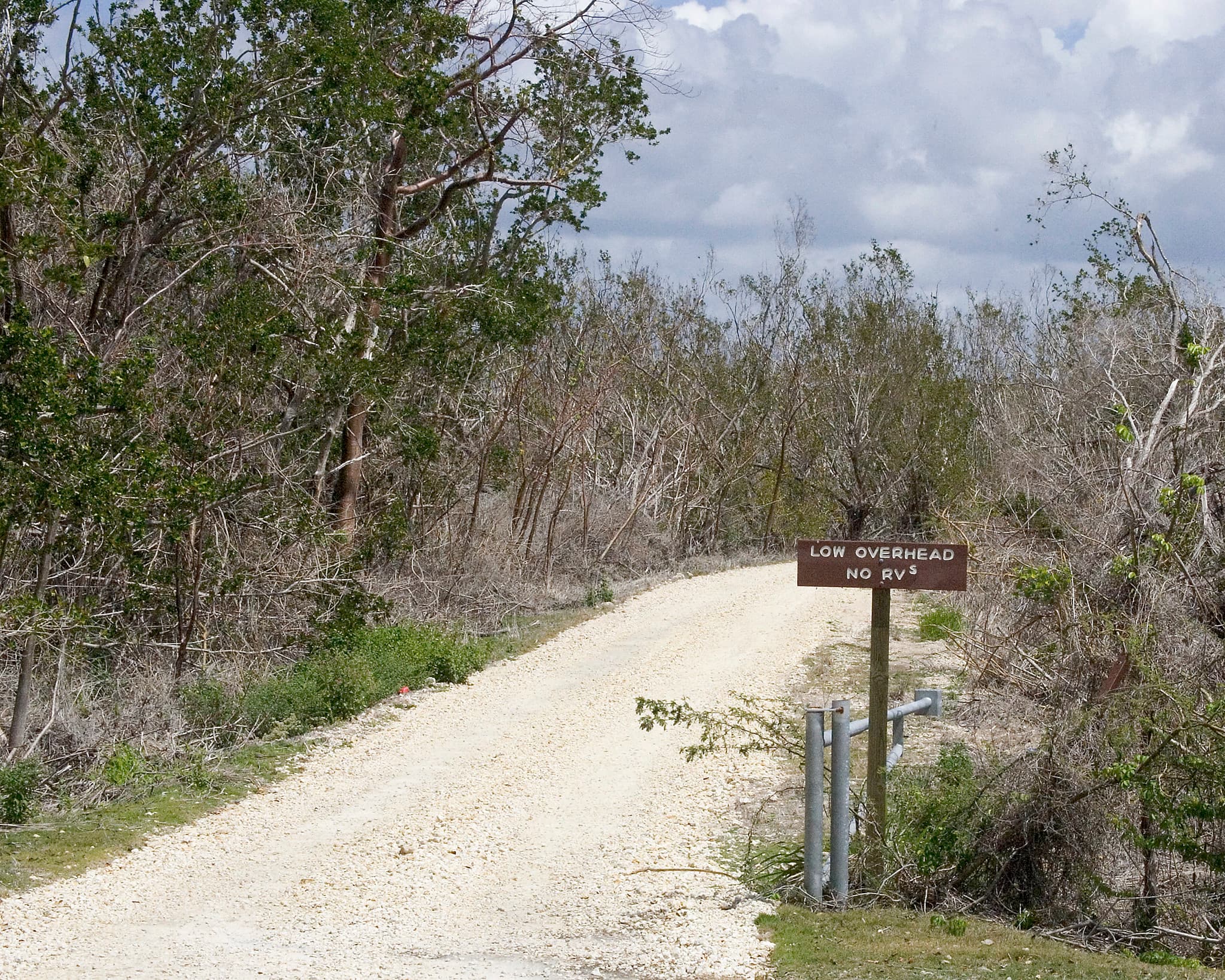 Bear Lake Trail