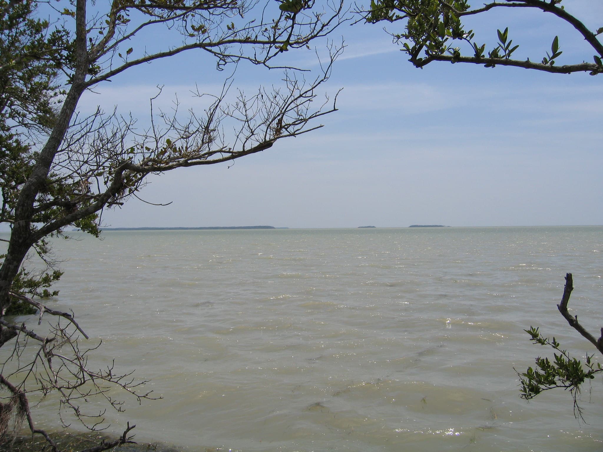 Bayshore Loop Trail