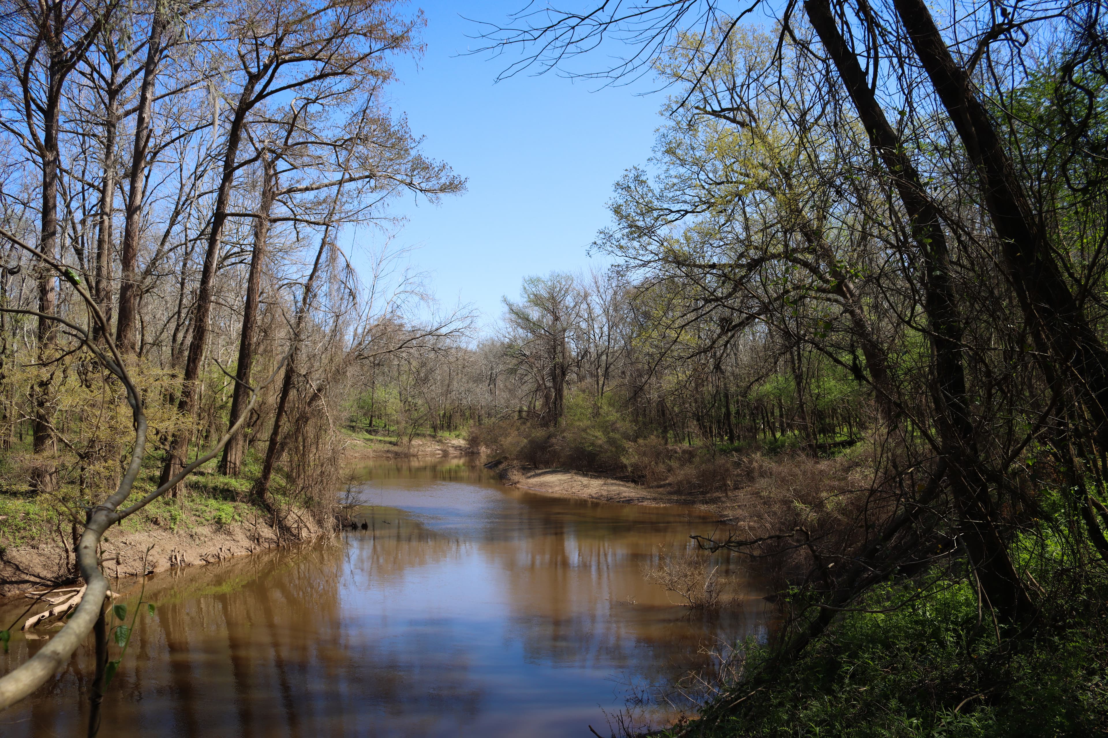 Birdwatchers Trail