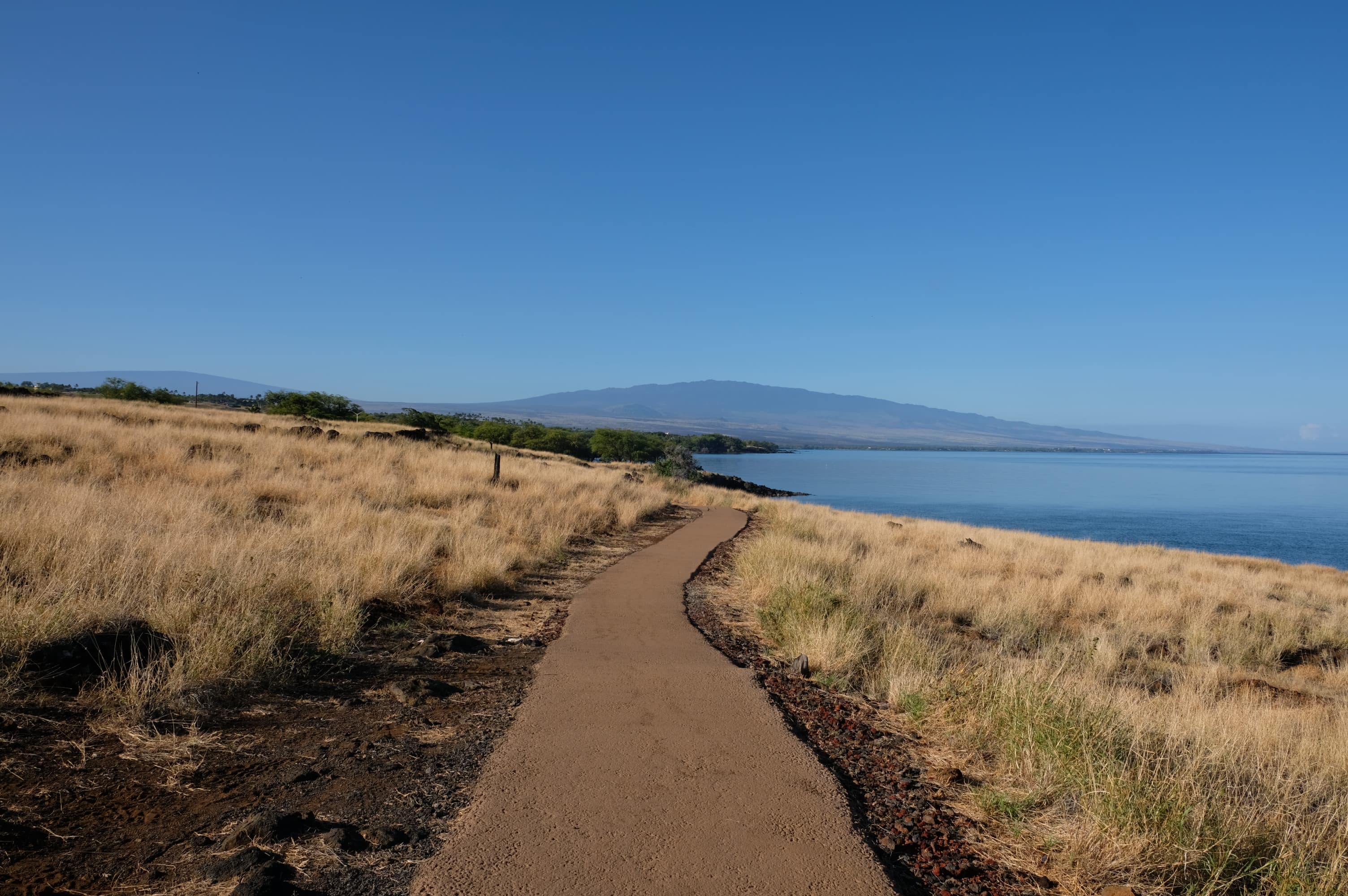 Ala Kahakai at Puʻukoholā
