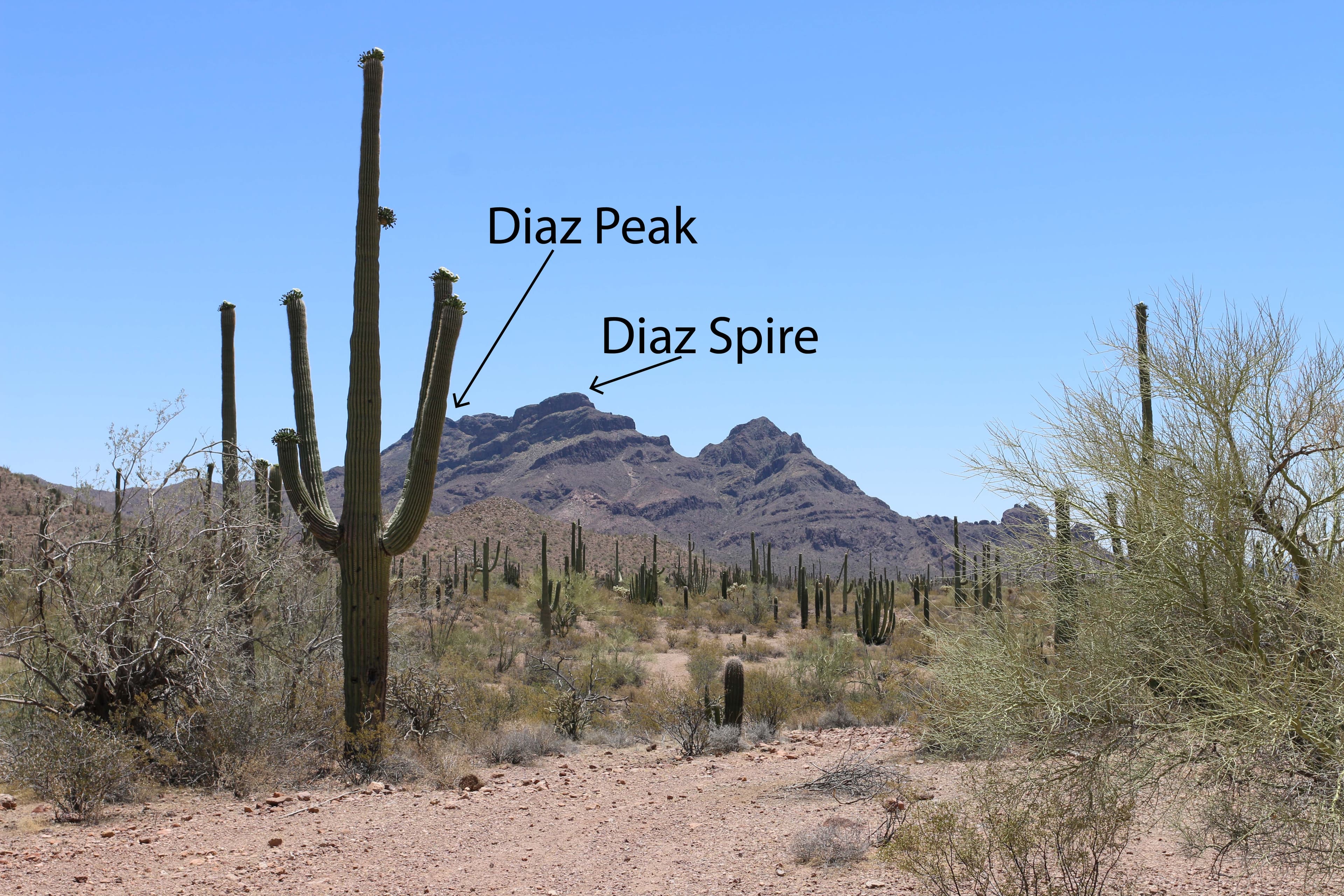 Ajo Mountain Drive Stop 14
