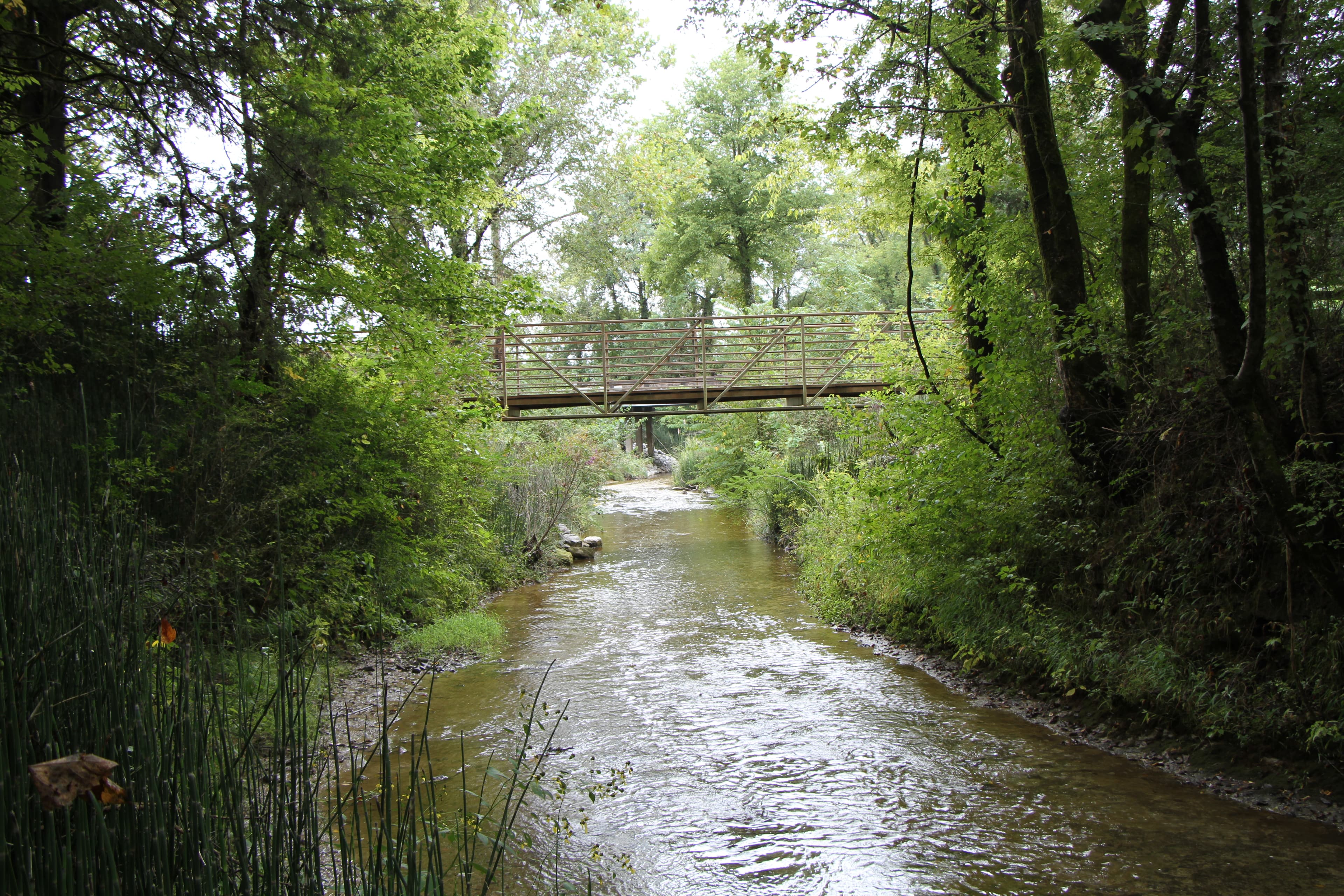 Tour Stop #8 - Tishomingo Creek Bridge at the Battle of Brices Cross Roads