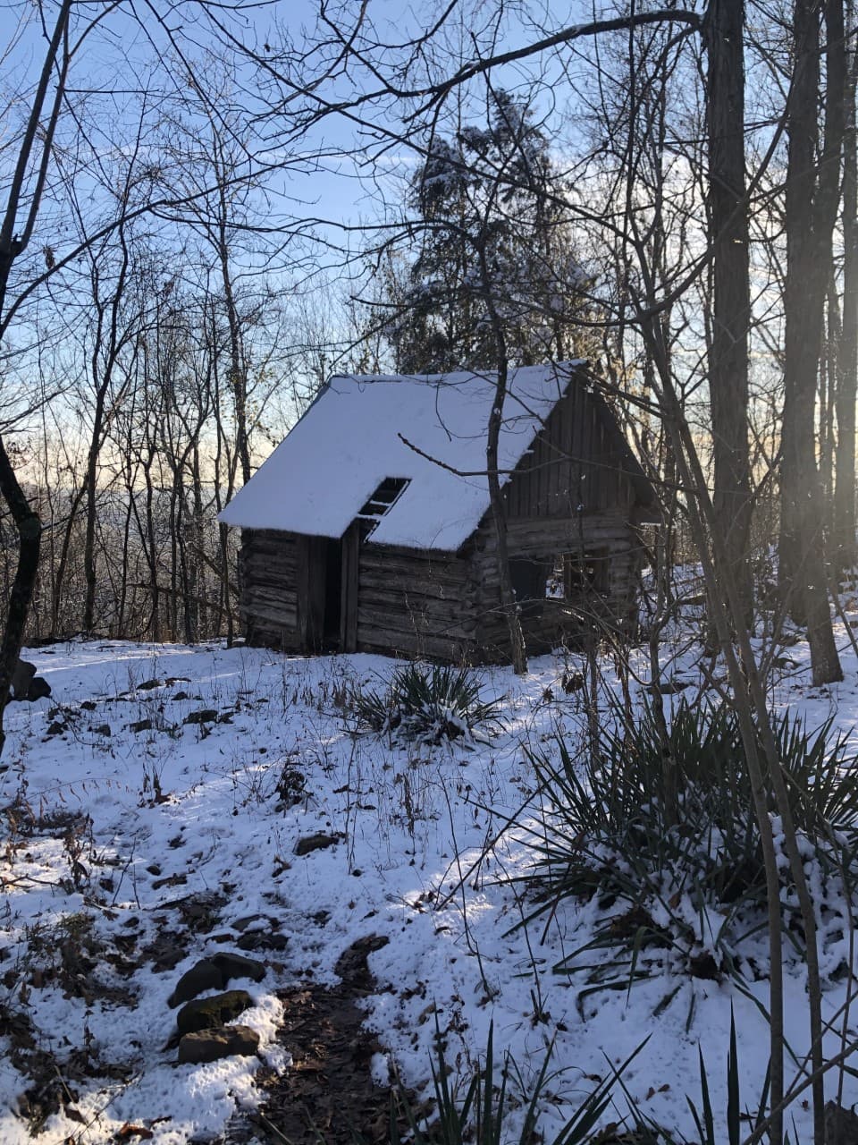 Flowers Cabin