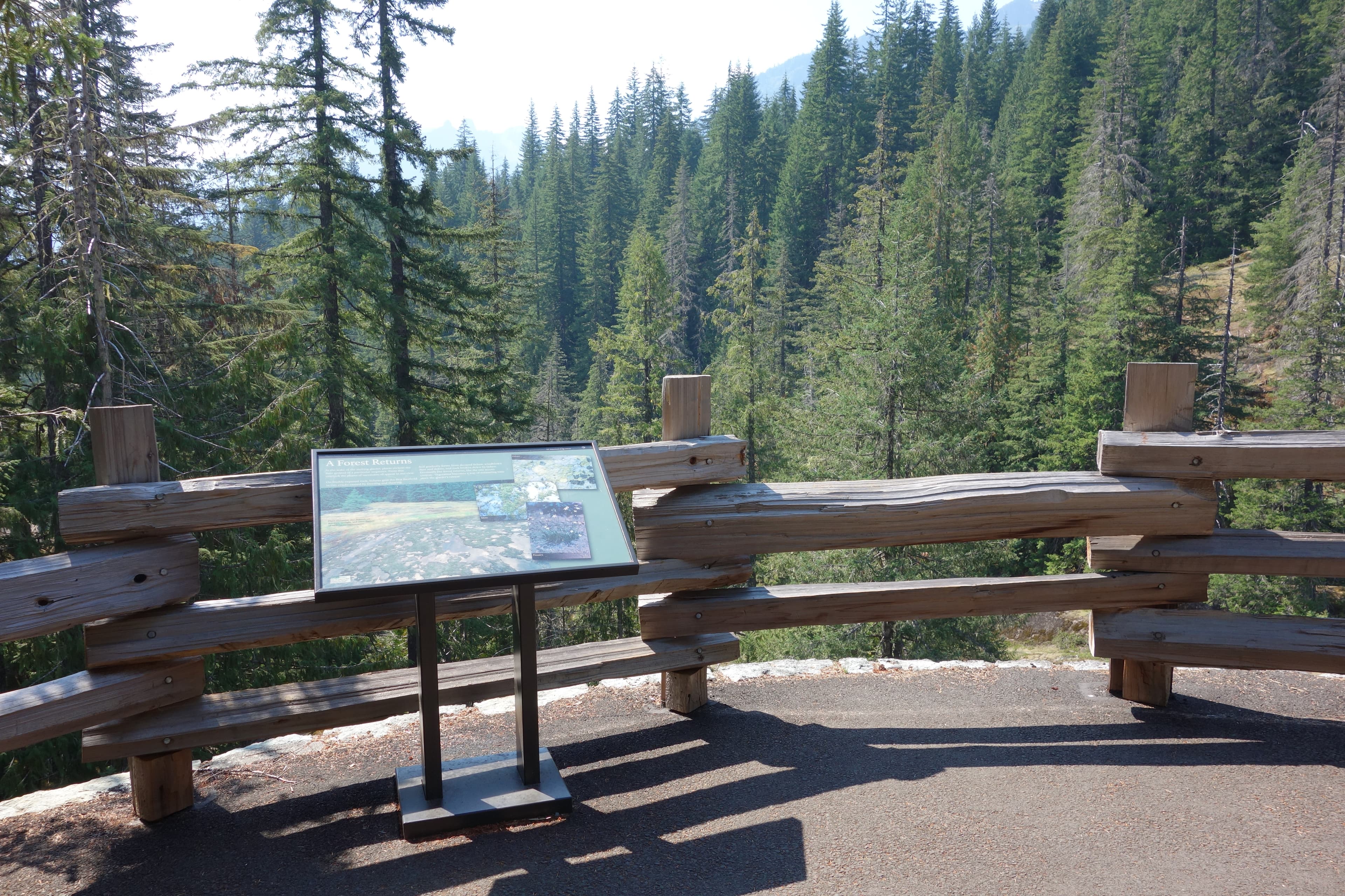Box Canyon: Forest Exhibit Panel