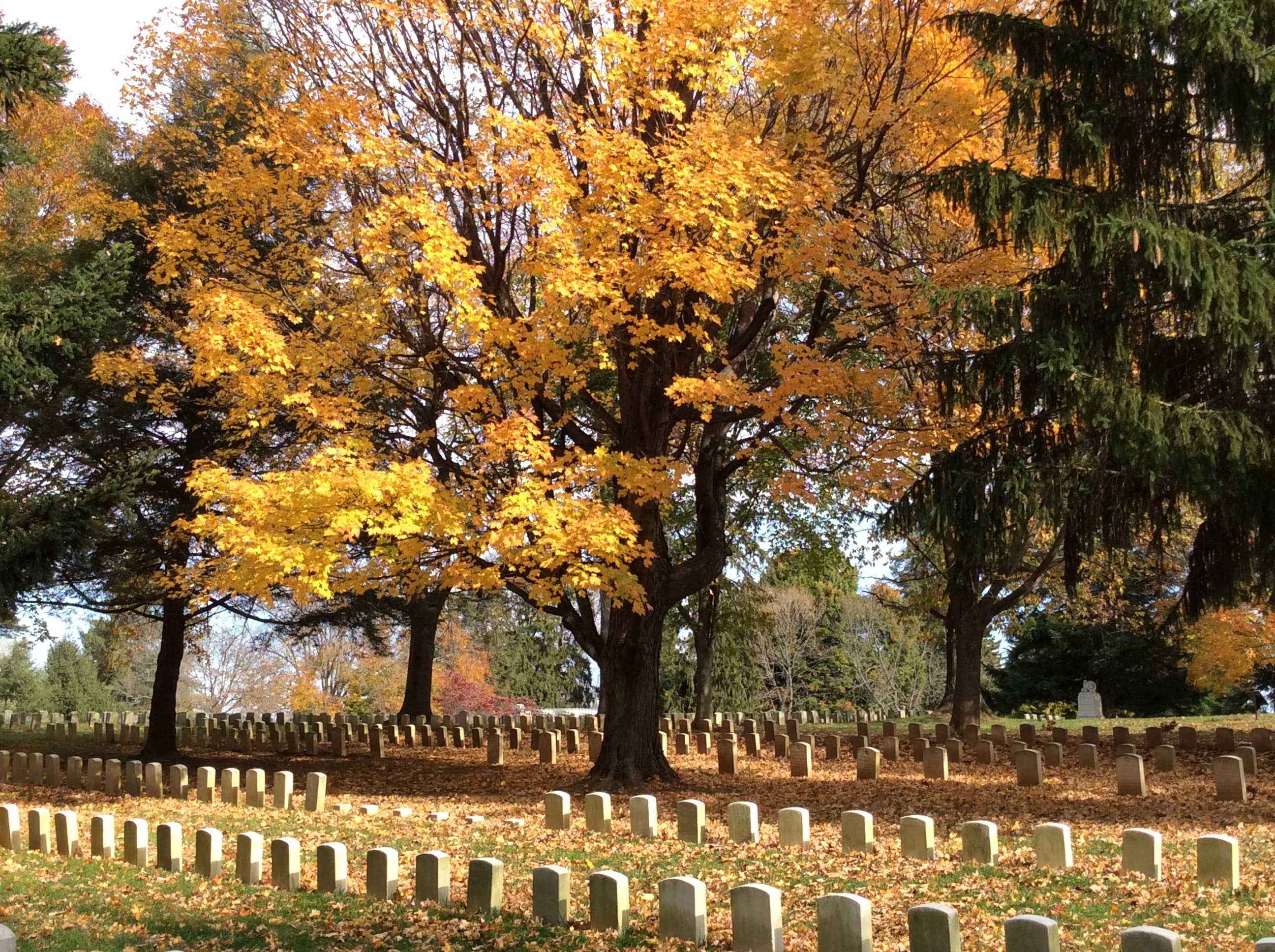 Antietam National Cemetery