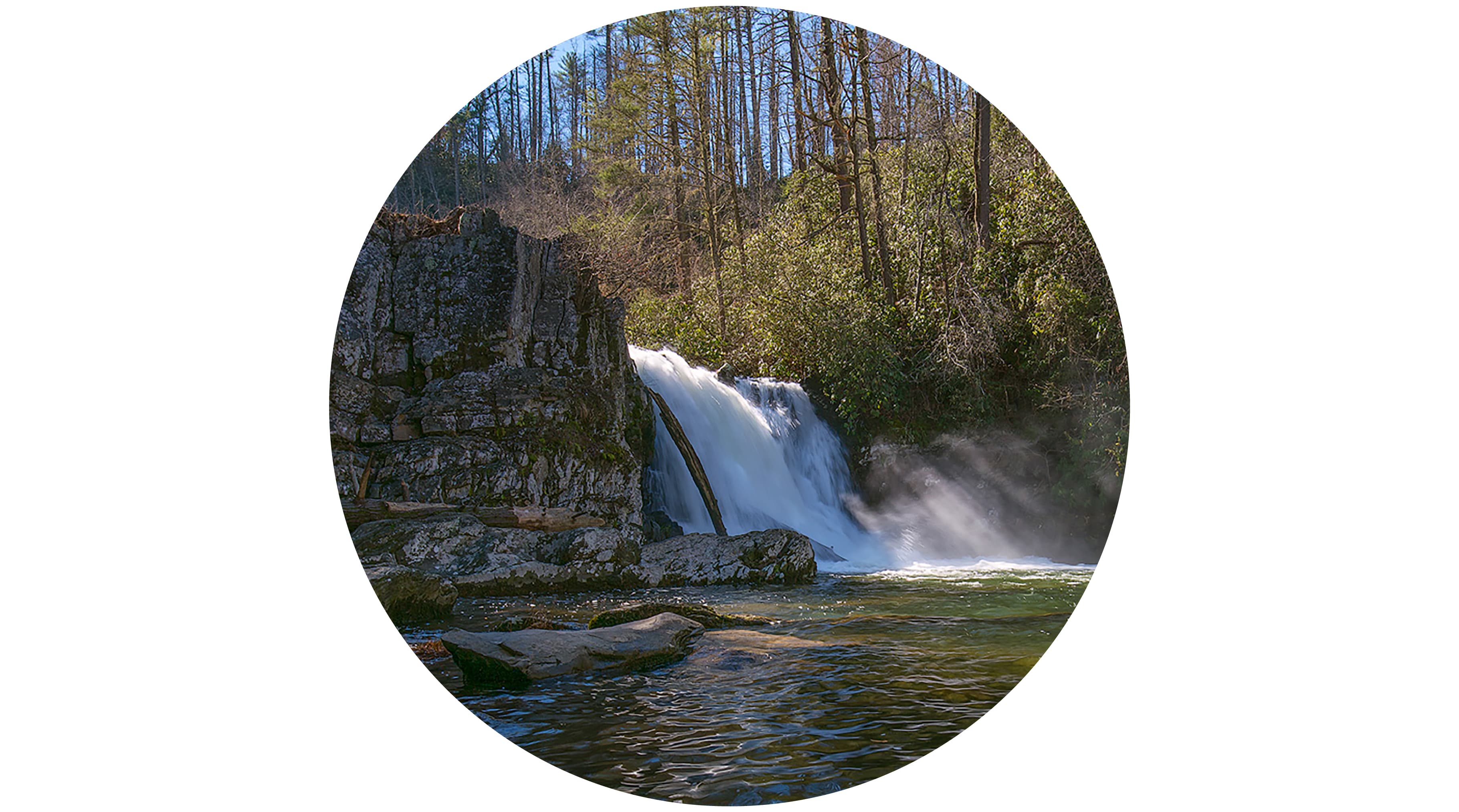 Abrams Falls