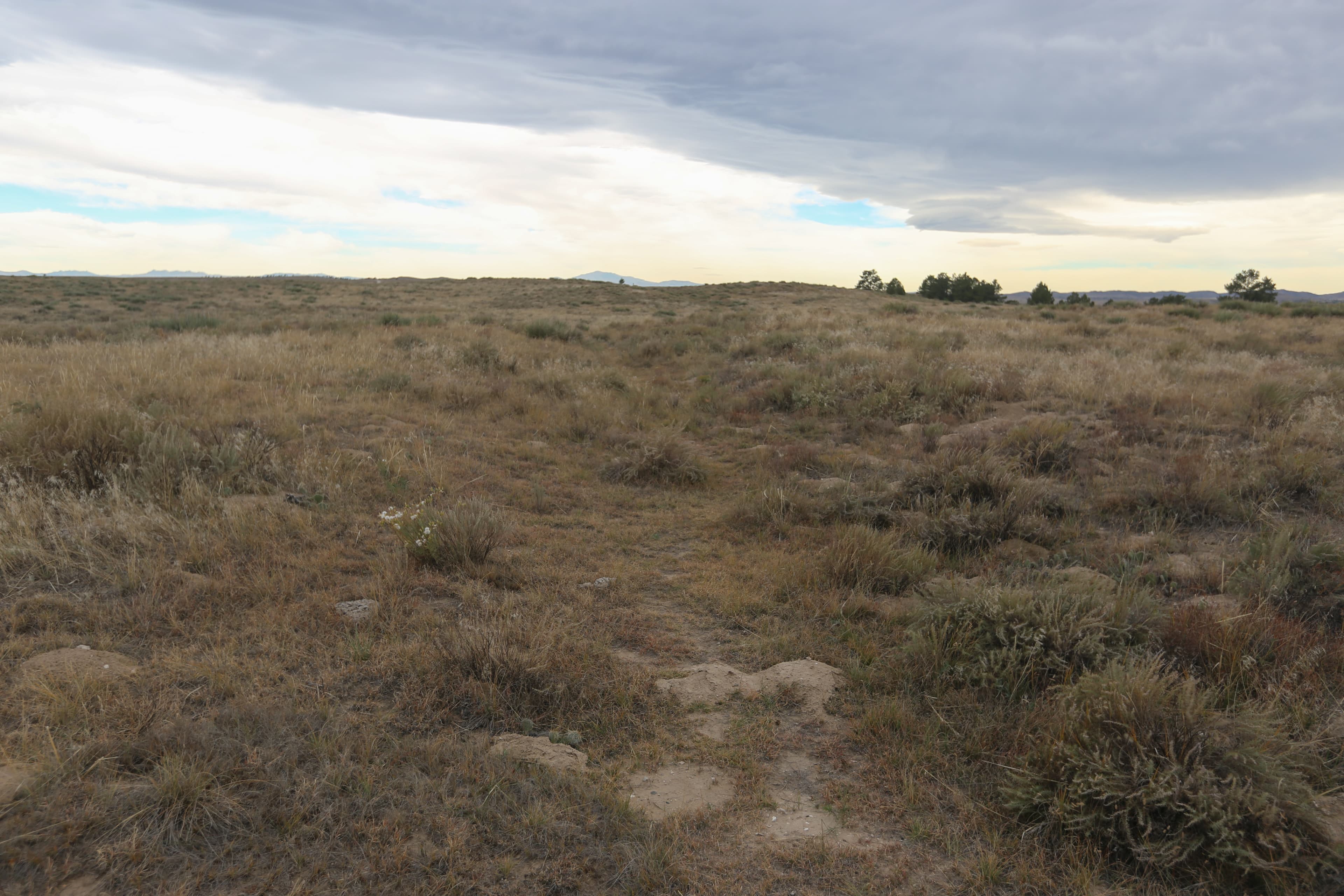 Bedlam Ruts
