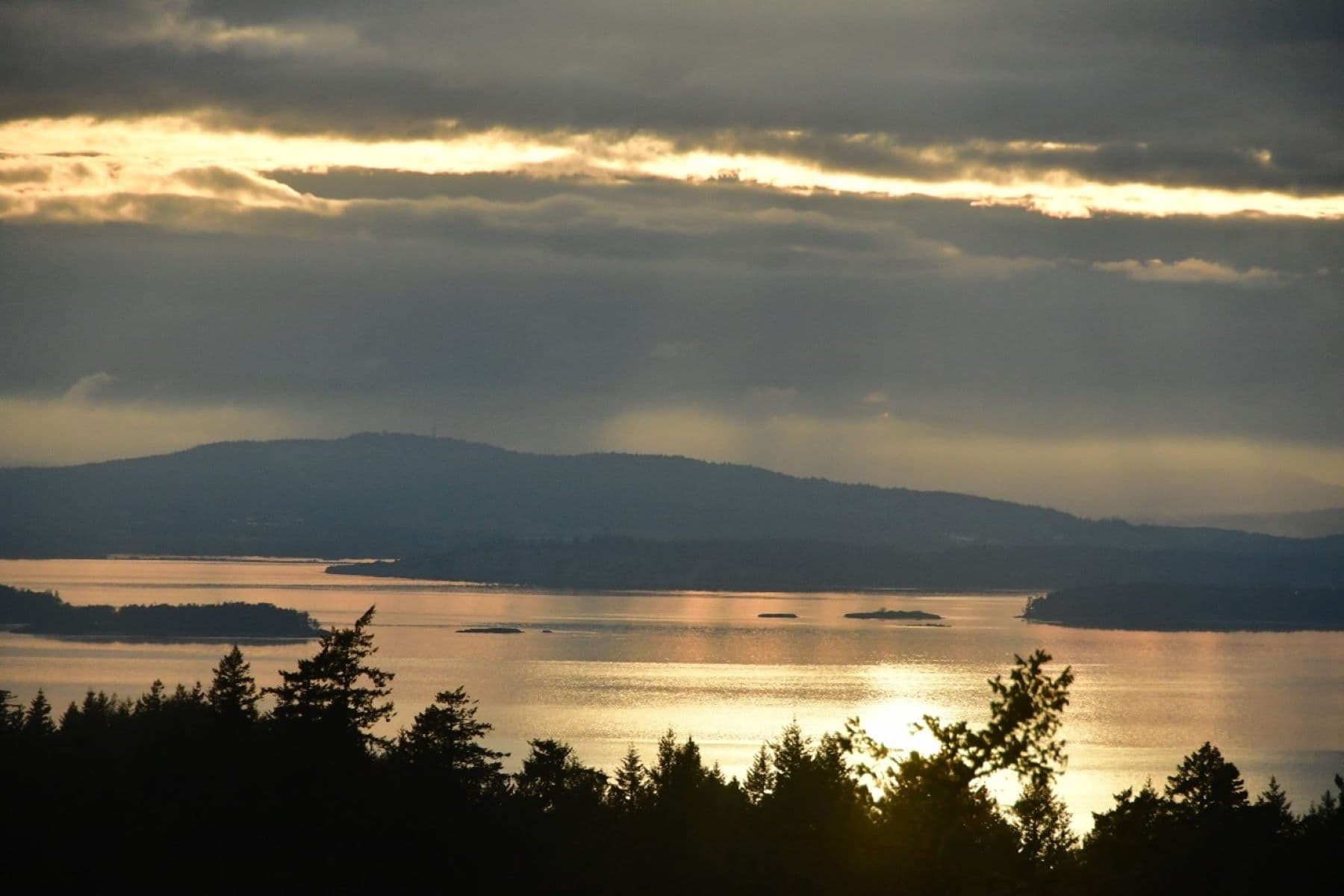 The Salish Sea