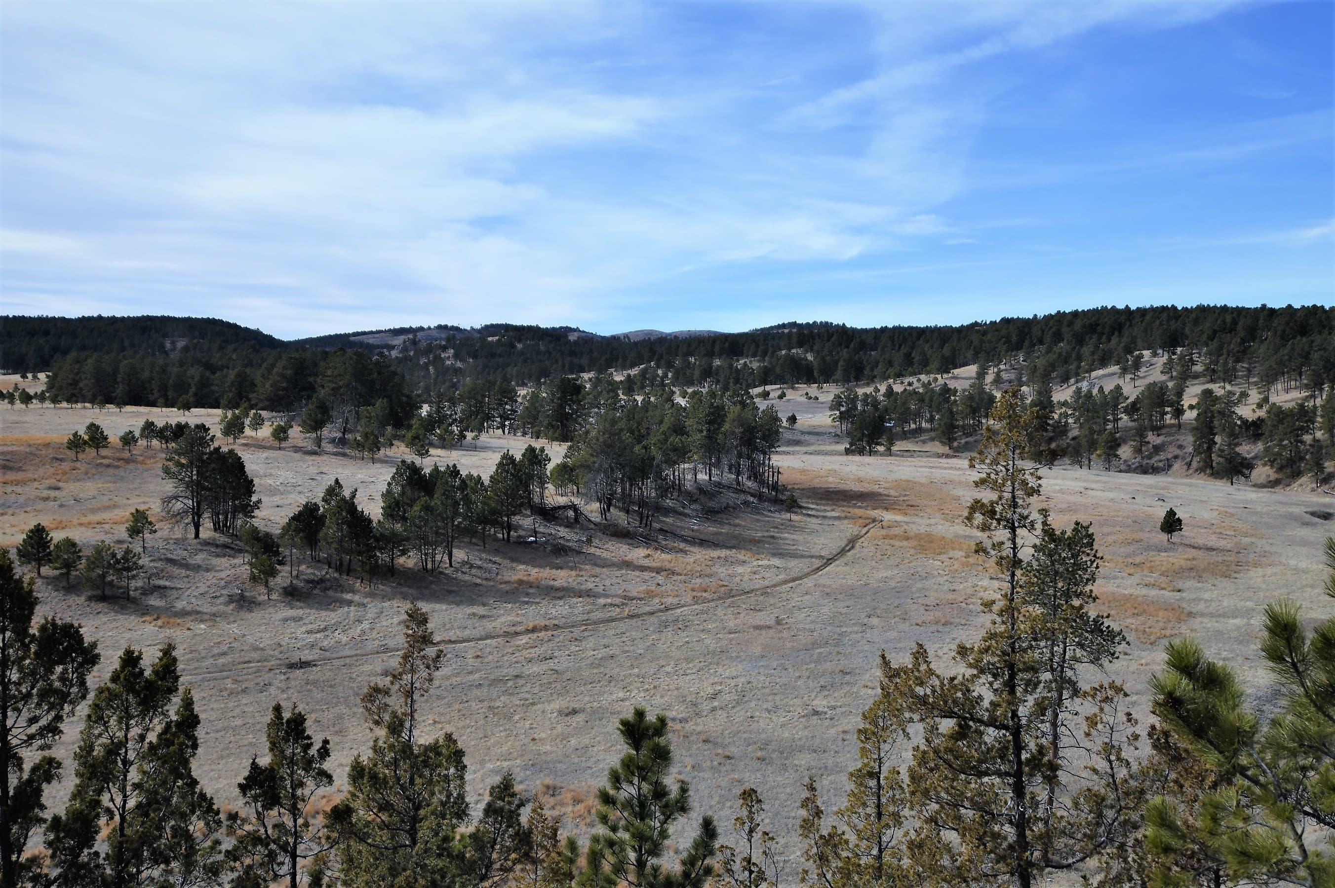 Cold Brook Canyon Trail