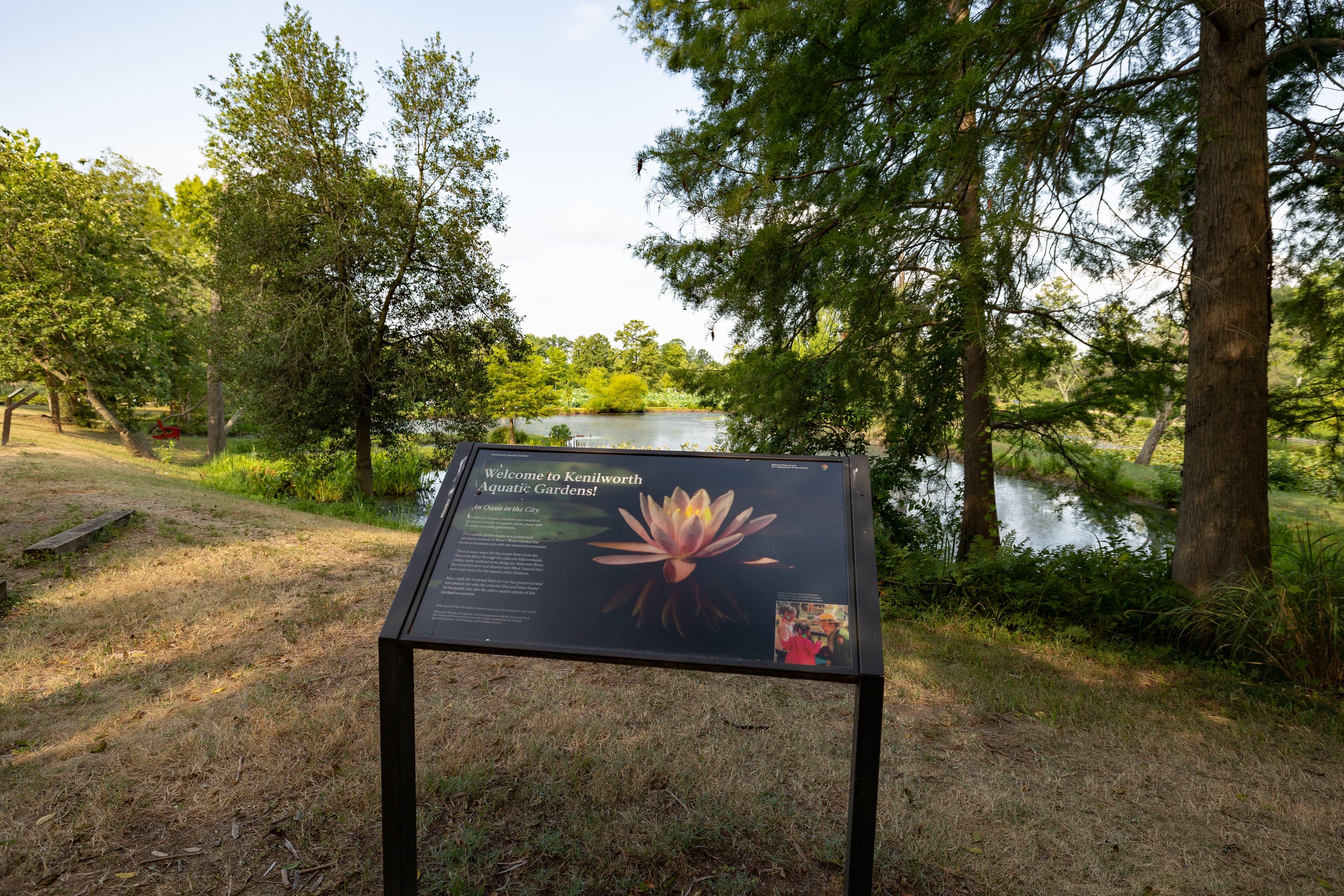 Information Panel: Welcome to Kenilworth Aquatic Gardens