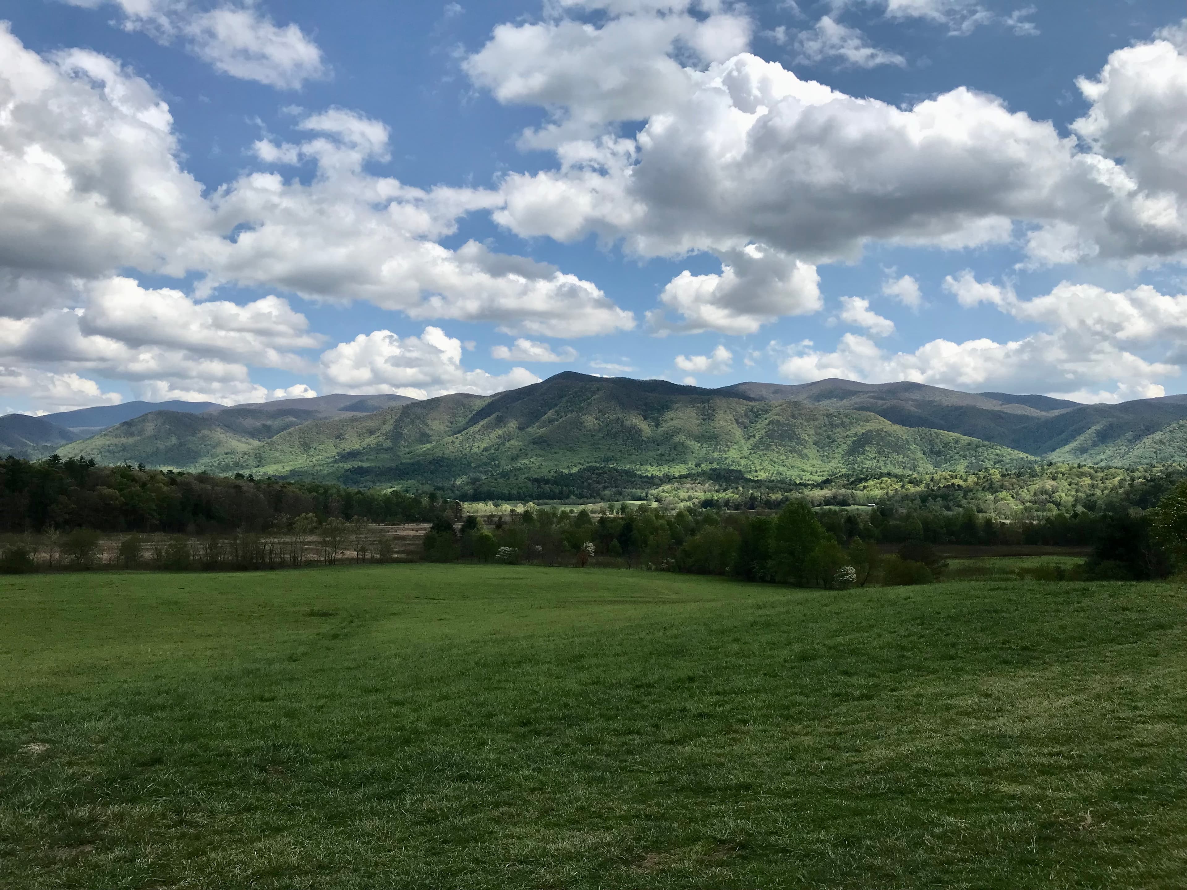 Cades Cove Overlook