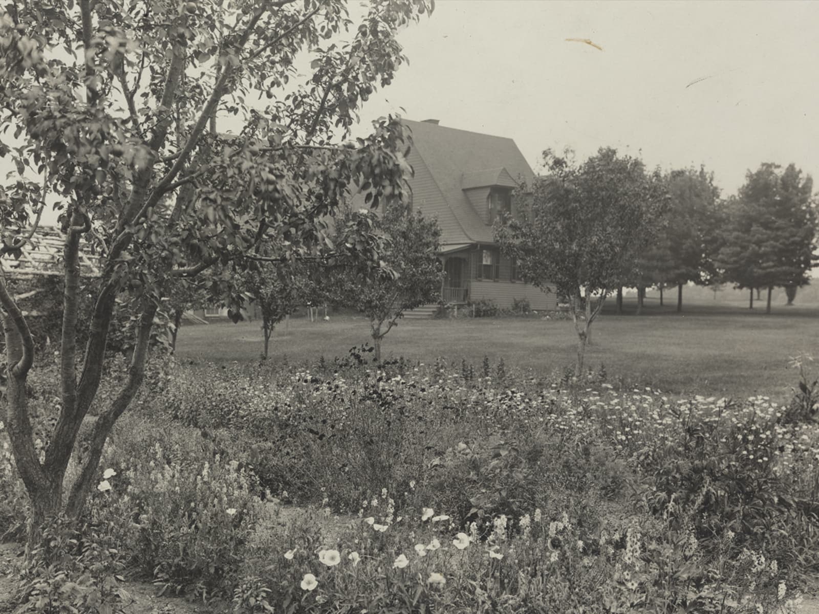 Sagamore Hill as a Working Farm