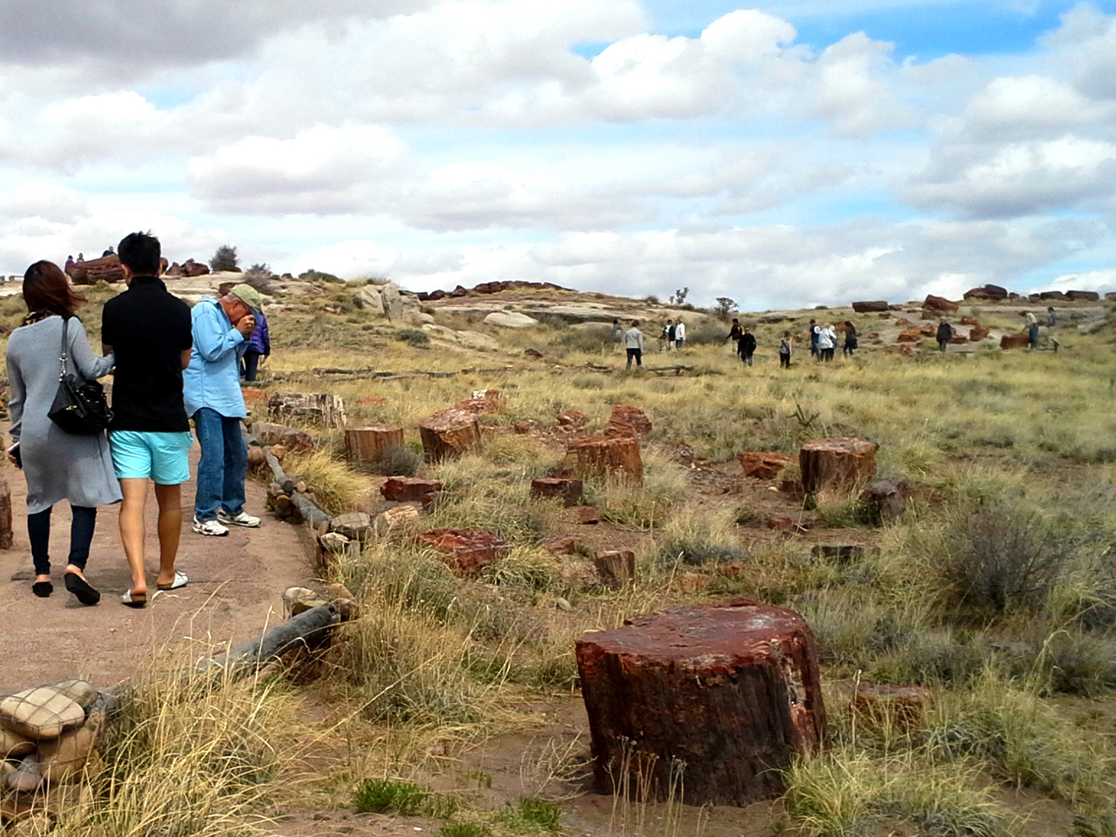 Giant Logs Trail Stop #1