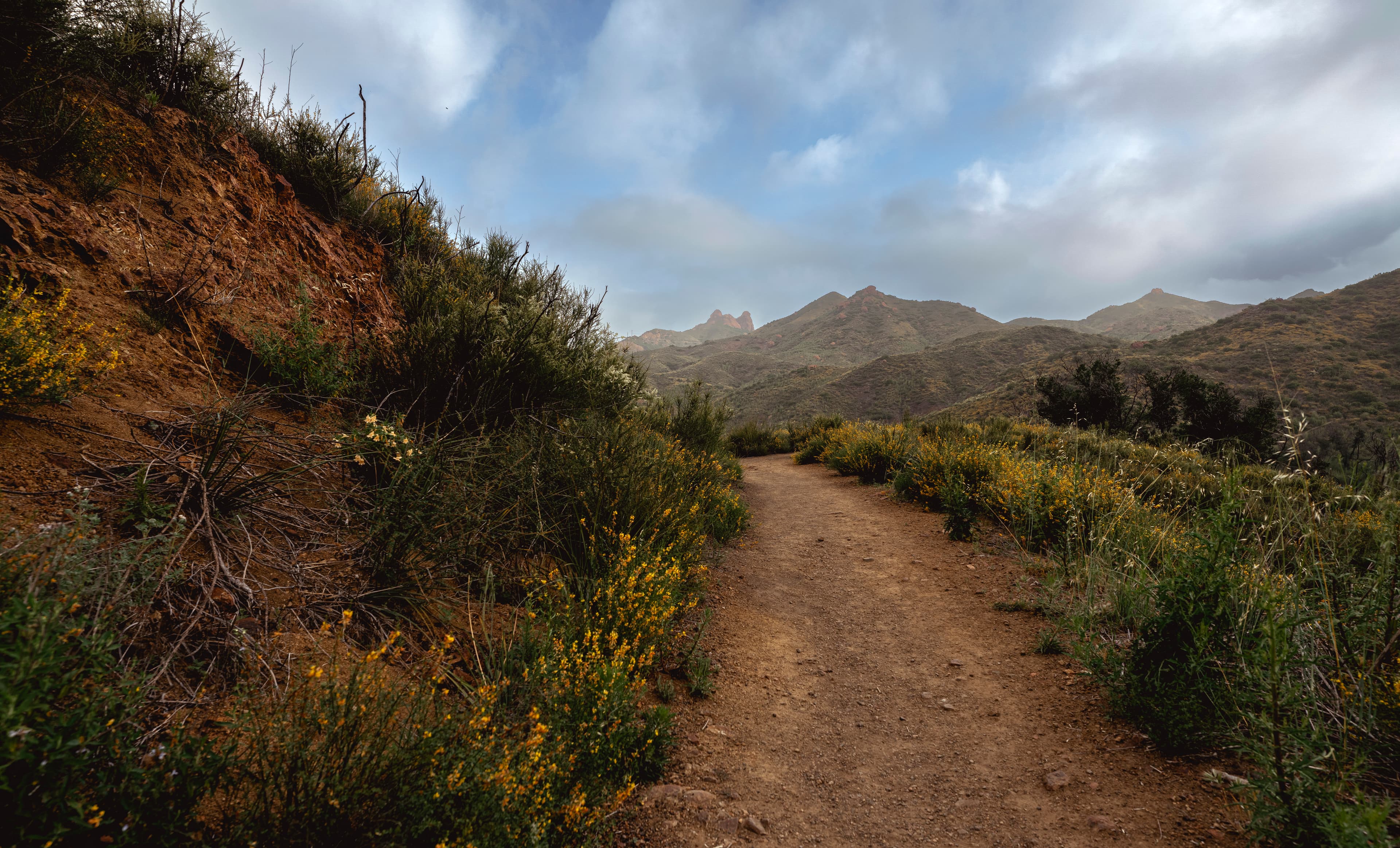 Zuma and Trancas Canyons