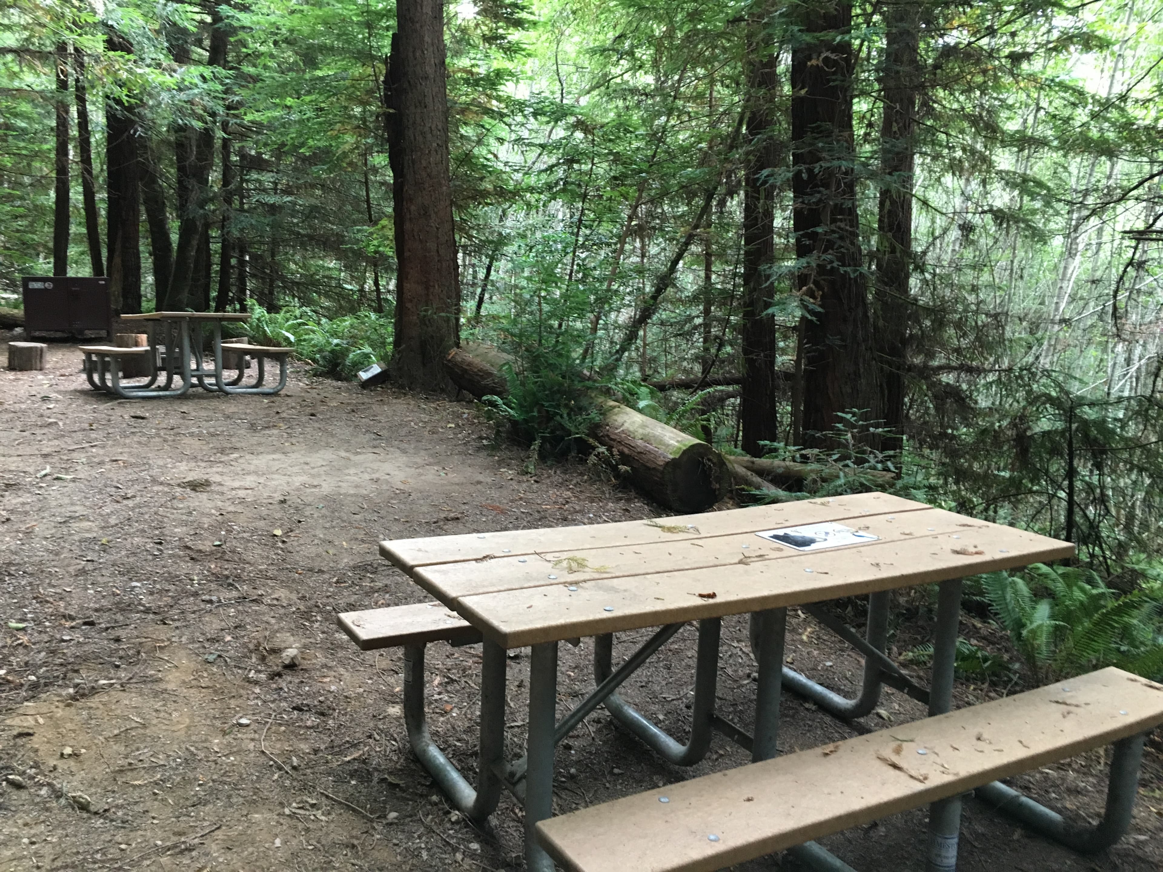 44 Backcountry Camp