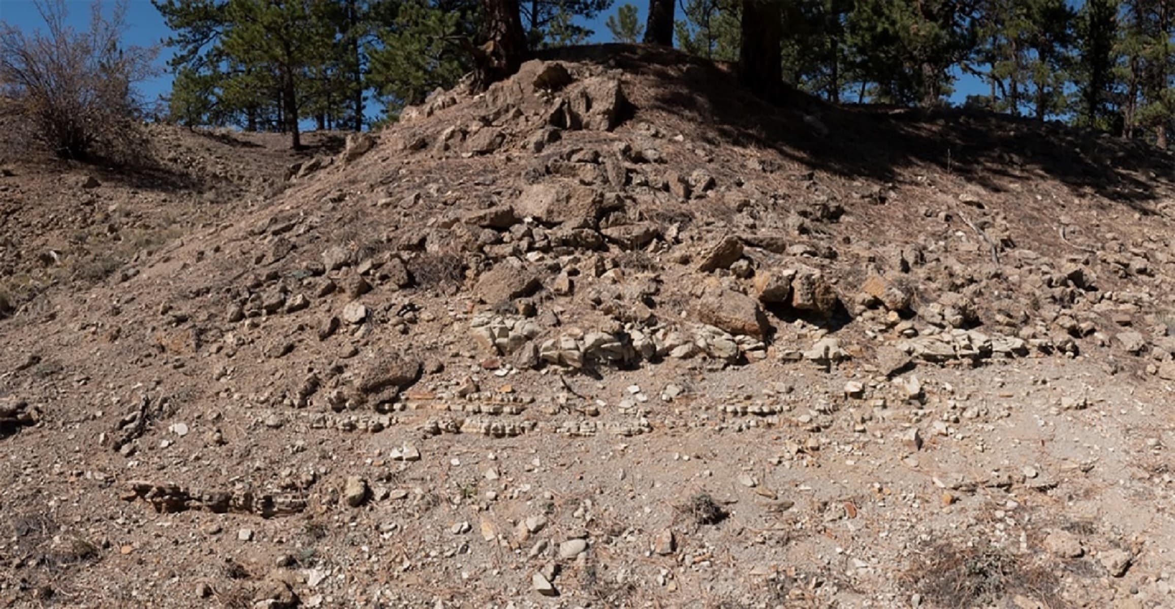 Shale Outcrop