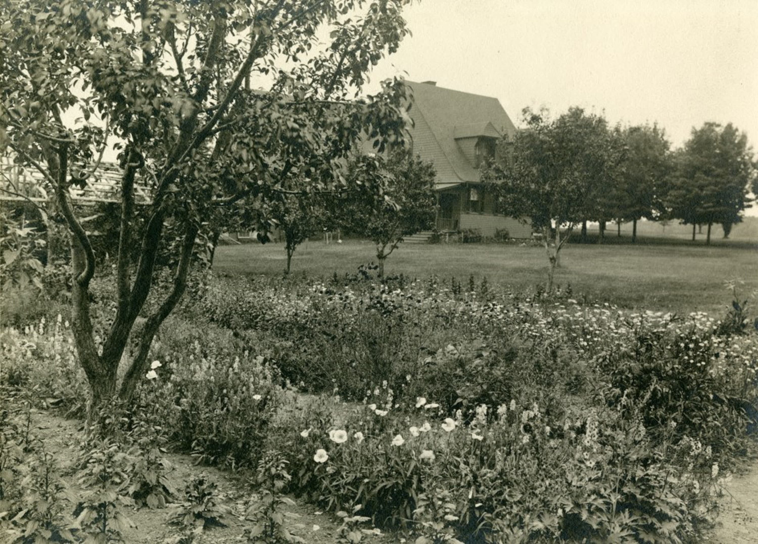 Sagamore Hill Garden