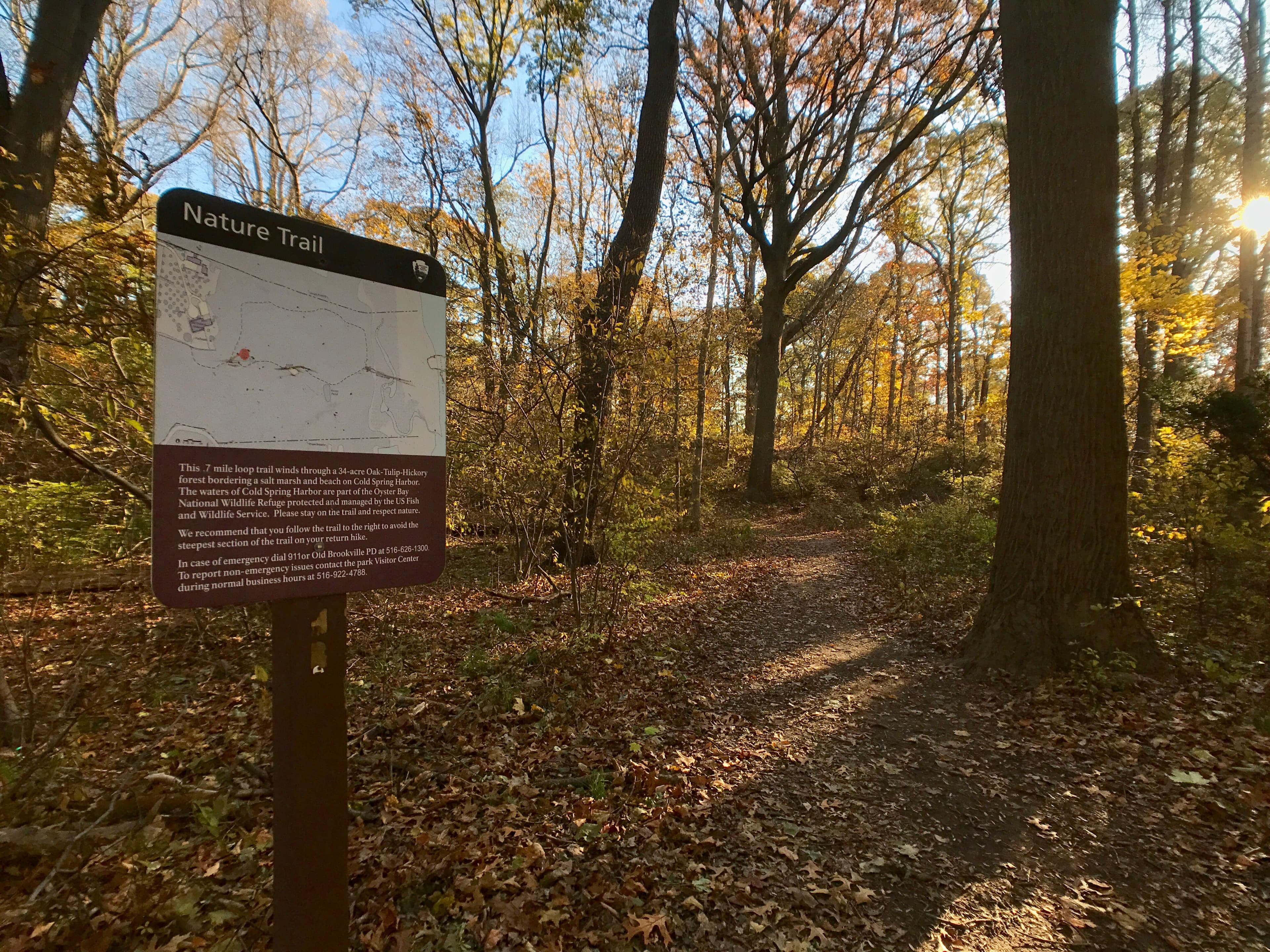 Sagamore Hill Nature Trail